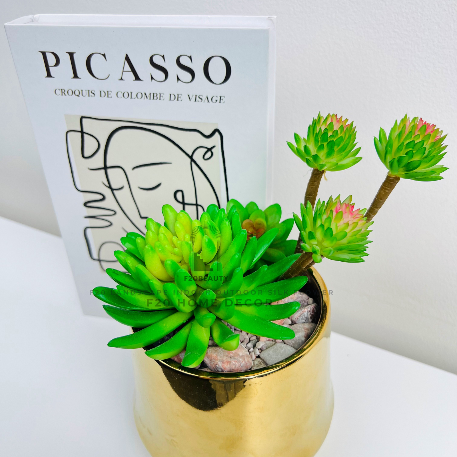 Chi tiết chậu cây sen đá Setosa xanh giả