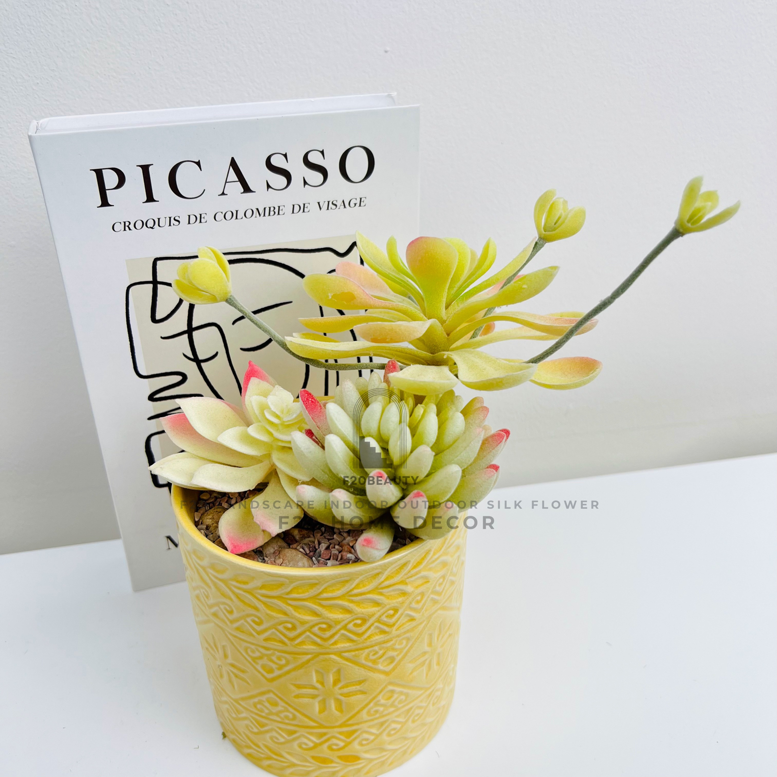 Chậu cây sen đá quan âm giả để bàn trang trí quán cafe