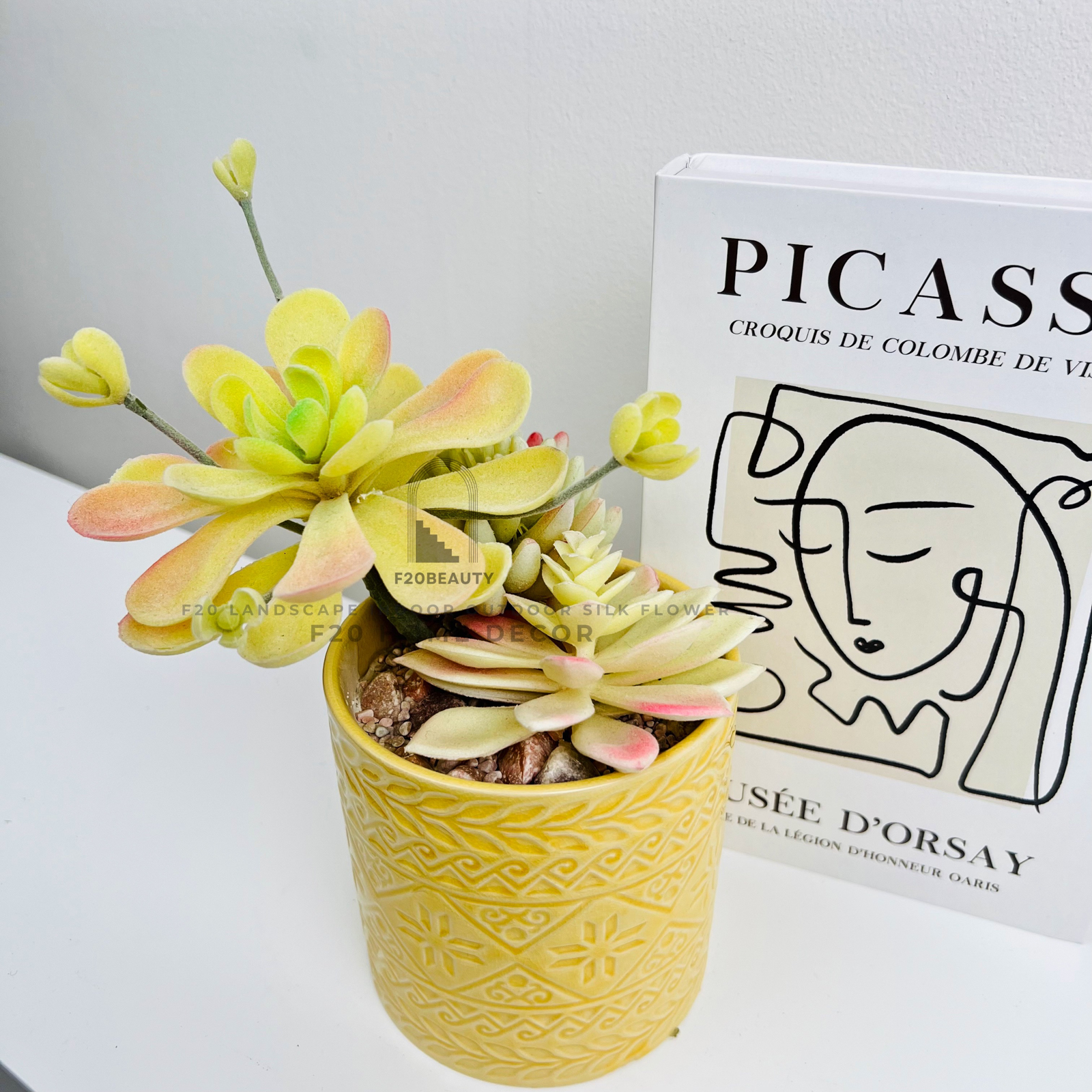 Chậu cây sen đá quan âm giả để bàn làm việc