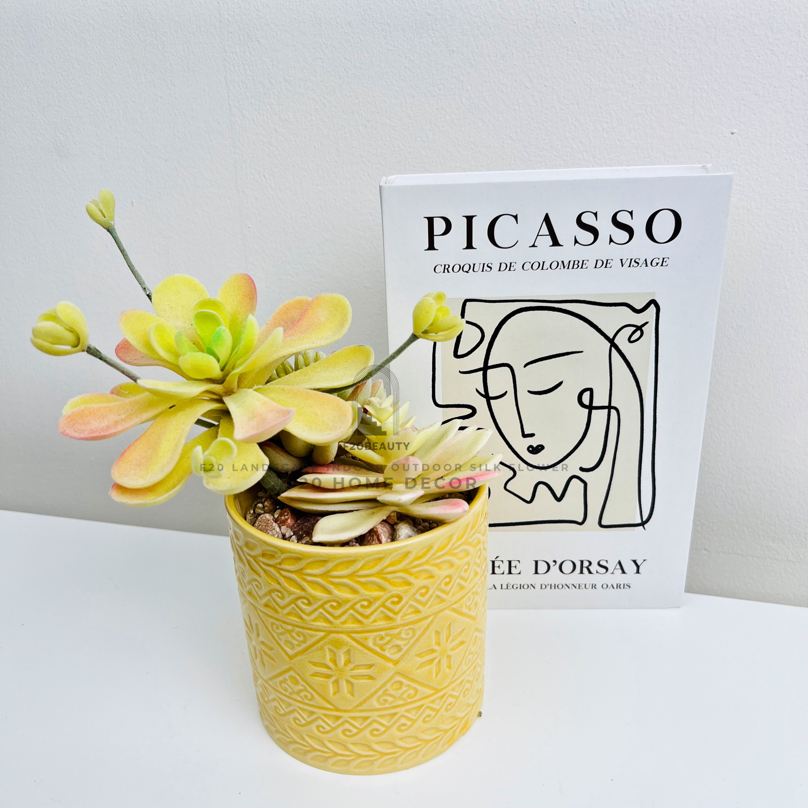 Chậu cây sen đá quan âm giả để bàn phong cách hiện đại