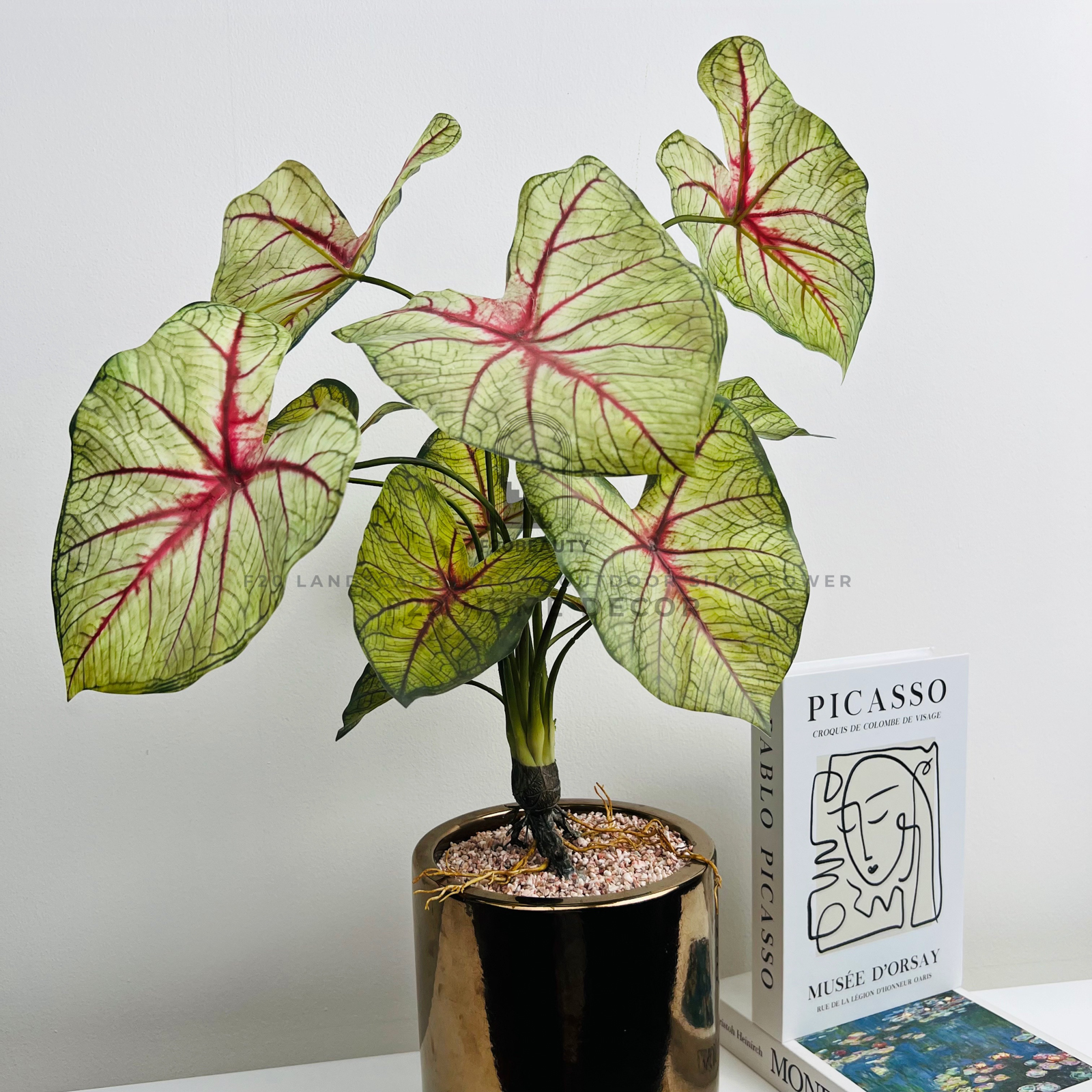 Chậu cây môn Anger Wind giả để bàn tạo điểm nhấn cho không gian sống