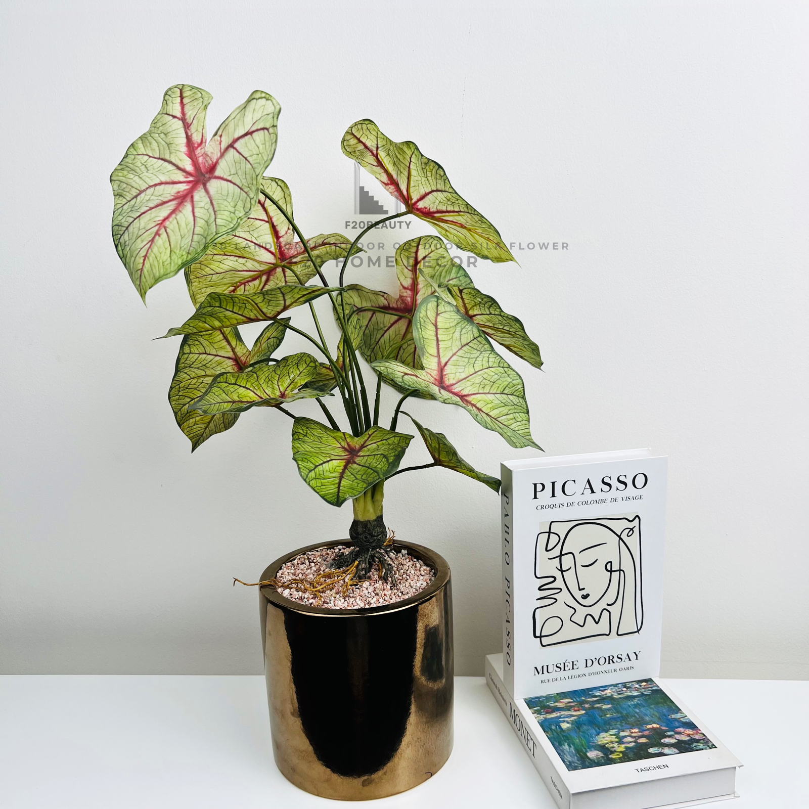 Chậu cây môn Anger Wind giả để bàn nhỏ