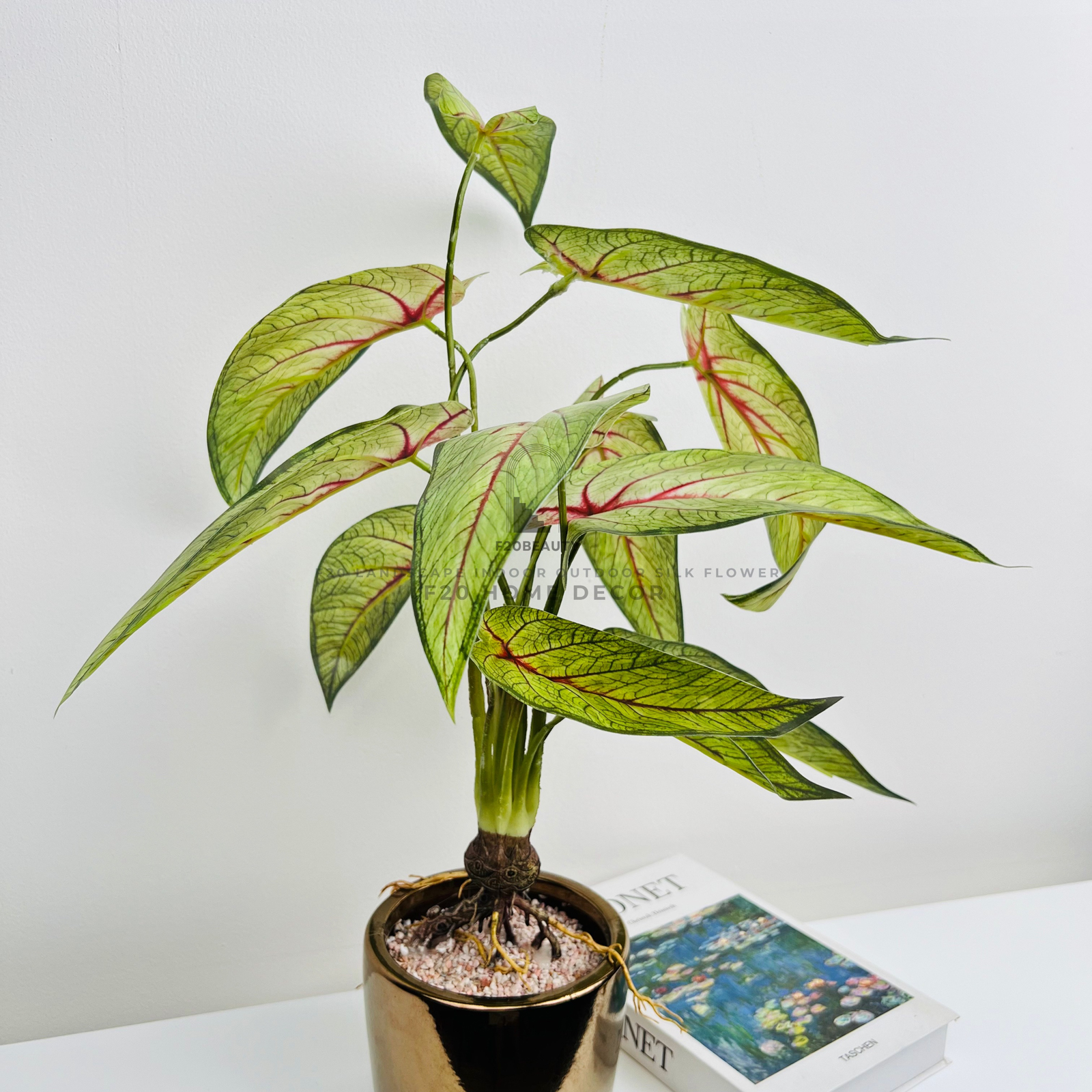 Chậu cây thiên thần tuyết giả để bàn tạo điểm nhấn cho bán làm việc