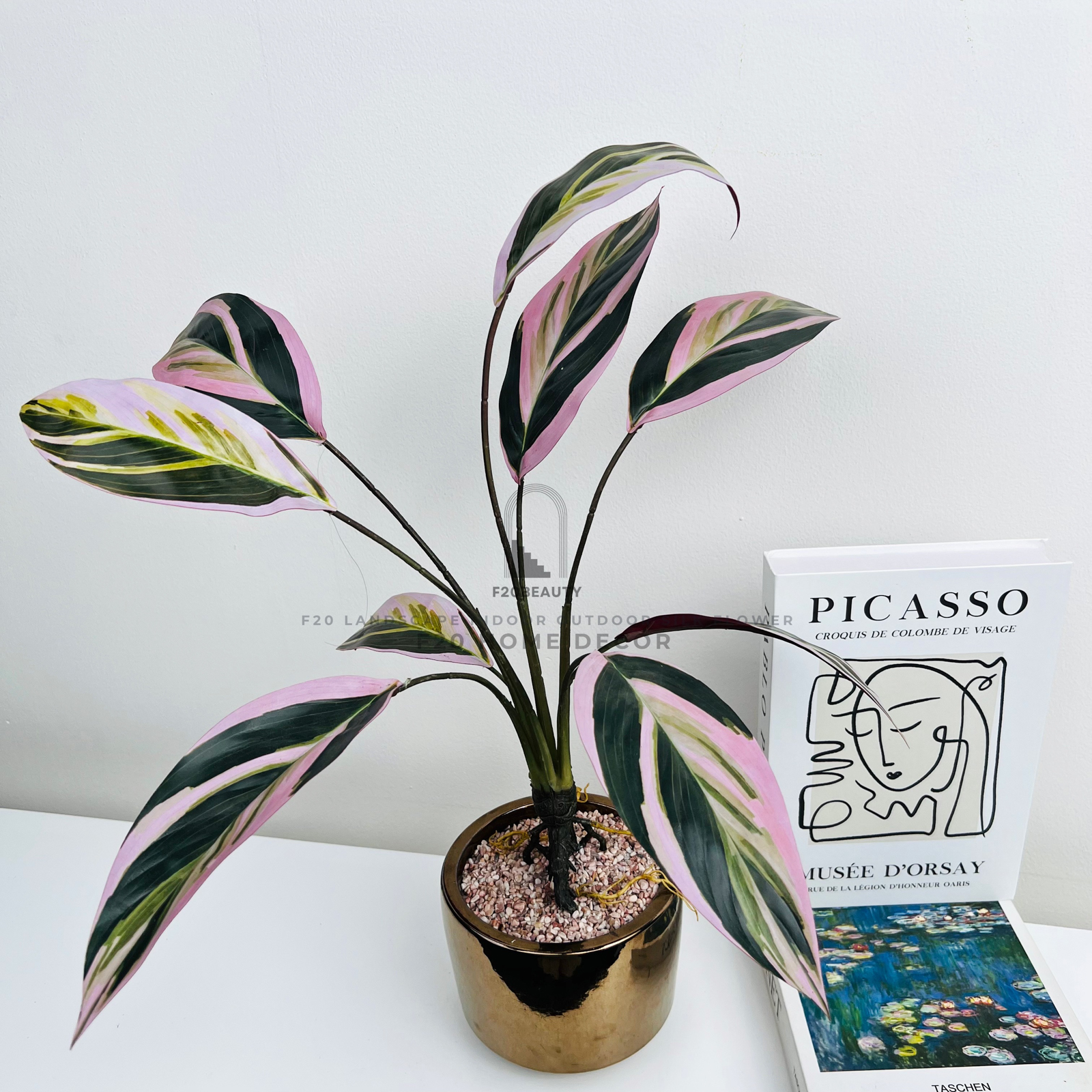 Chậu cây đa búp đỏ Tricolor Stomanthe giả để bàn điểm nhấn tươi mát cho góc phòng làm việc