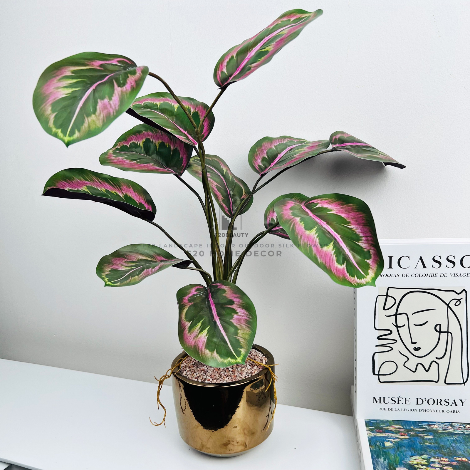 Chậu cây đuôi công tím giả để bàn tạo điểm nhấn tưới mới