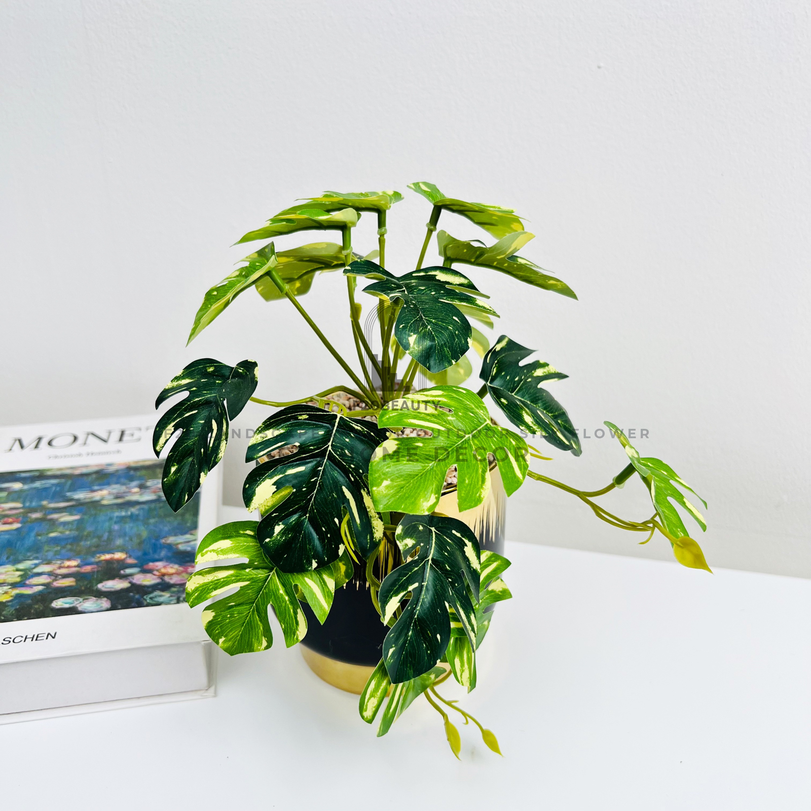 Chậu cây Monstera Swiss Cheese nhỏ giả để bàn