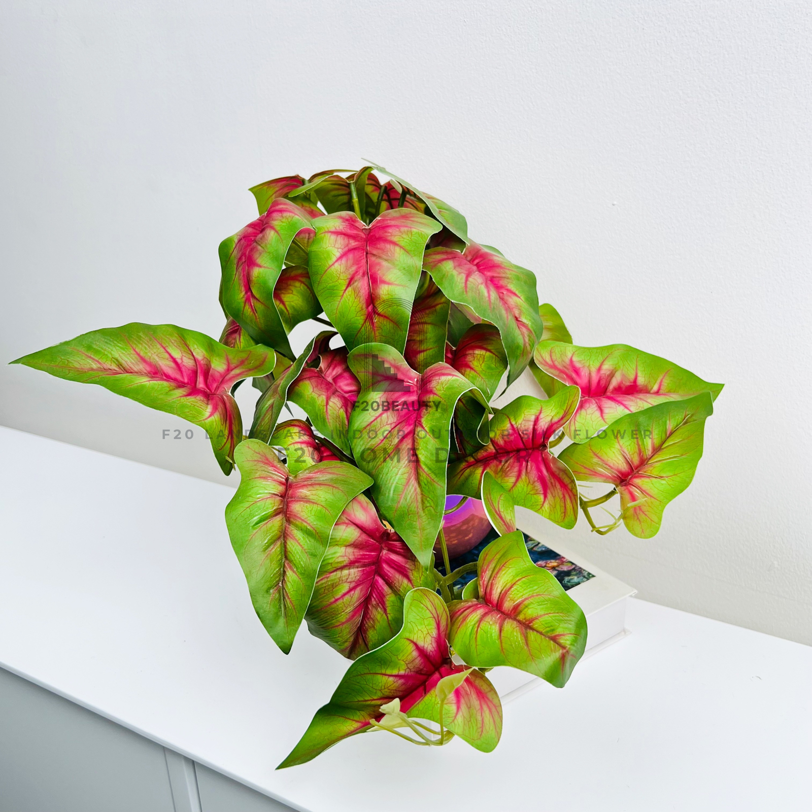 Cây môn Heart of Jesus giả để bàn sự độc đáo trong trang trí