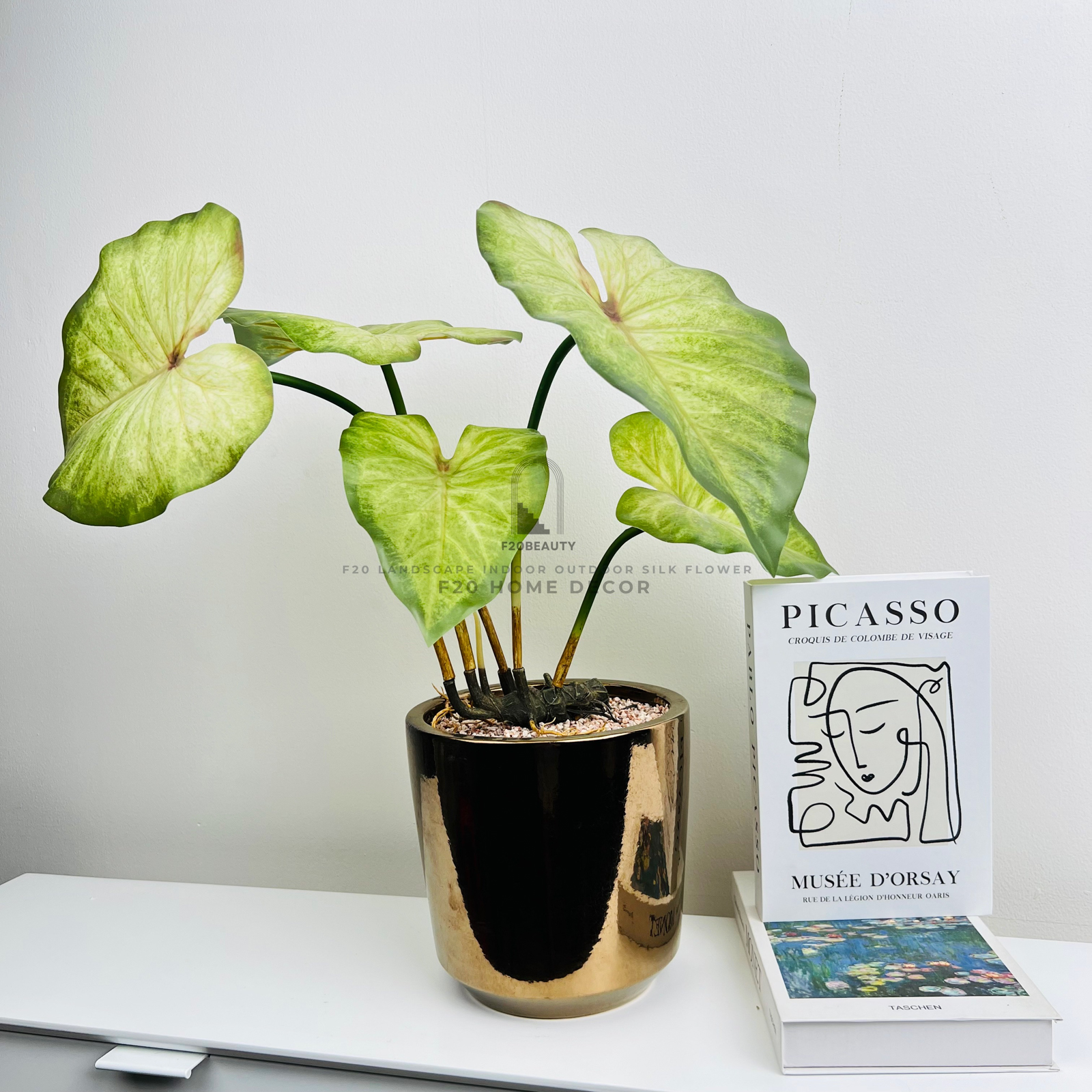 Chậu cây tróc Bạc giả để bàn sự sảng khoái trong không gian sống