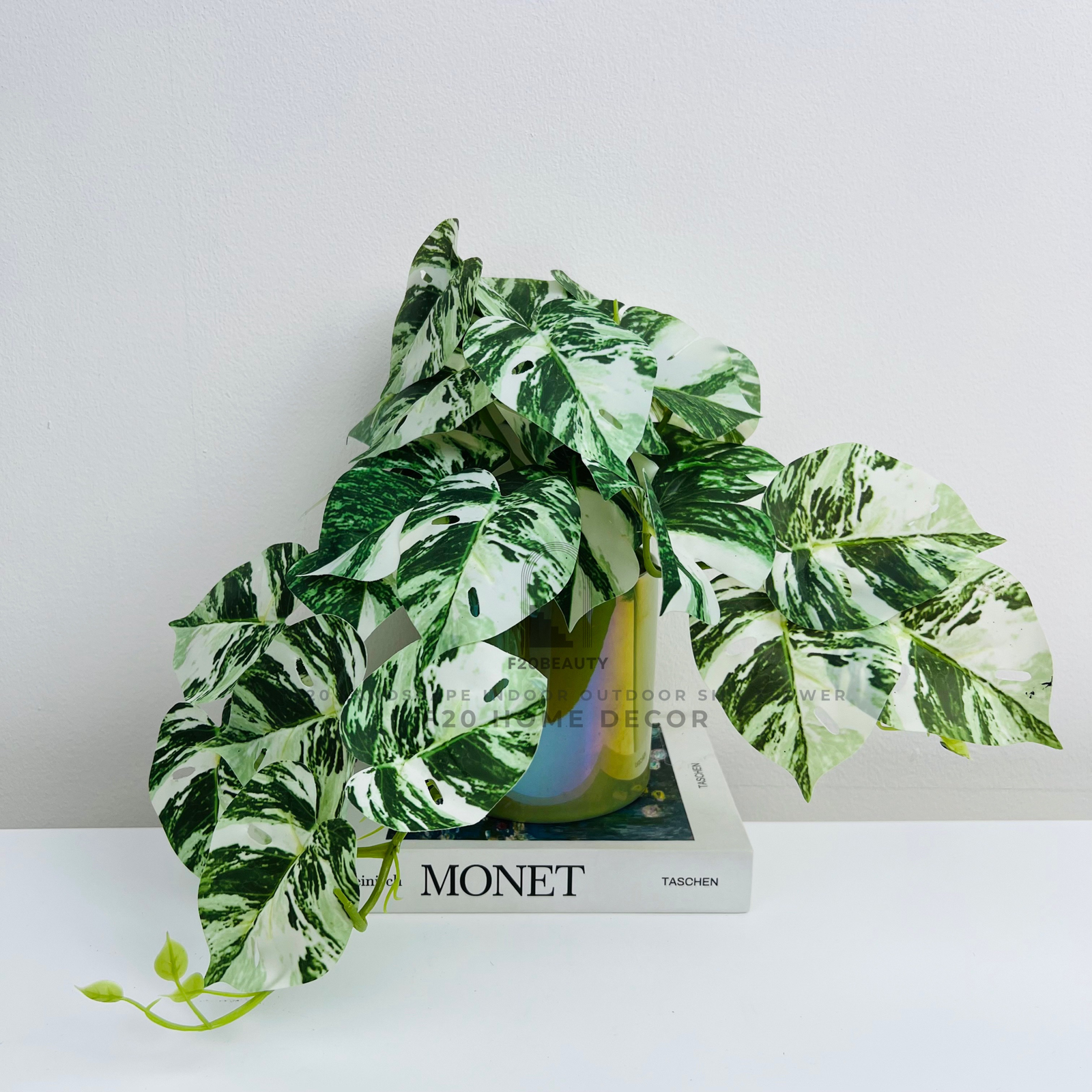 Chậu cây Monstera Nam Mỹ đột biến nhỏ giả để bàn tao thêm màu sắc cho bàn làm việc