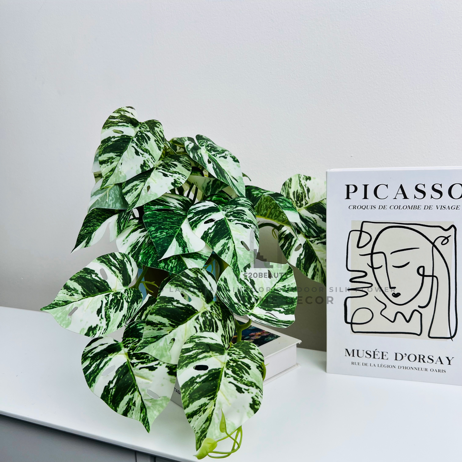 Chậu cây Monstera Nam Mỹ đột biến nhỏ giả thích hợp với nhiều không gian thiết kế nội thất