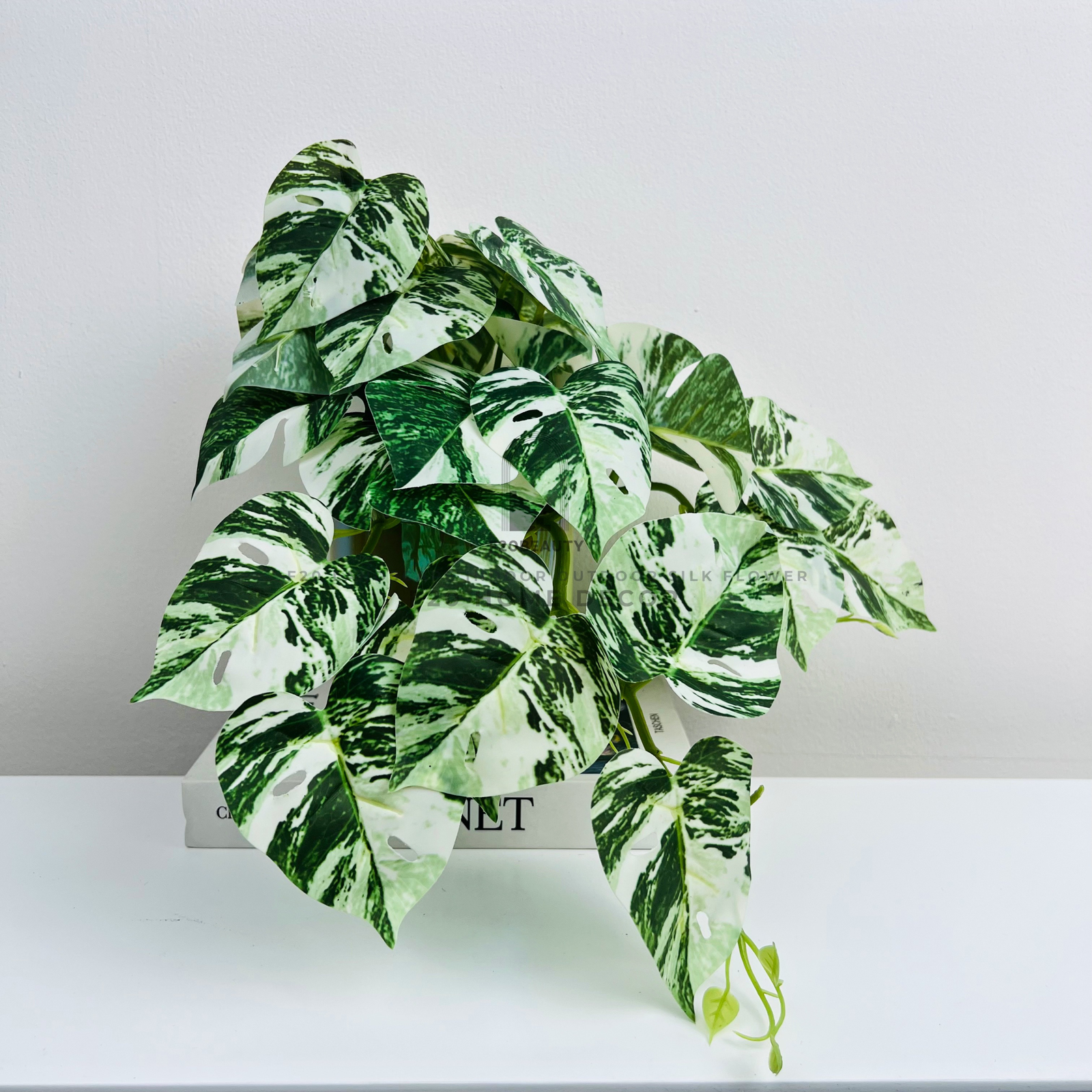 Chậu cây Monstera Nam Mỹ đột biến nhỏ giả để bàn tạo điểm nhấn cho không gian