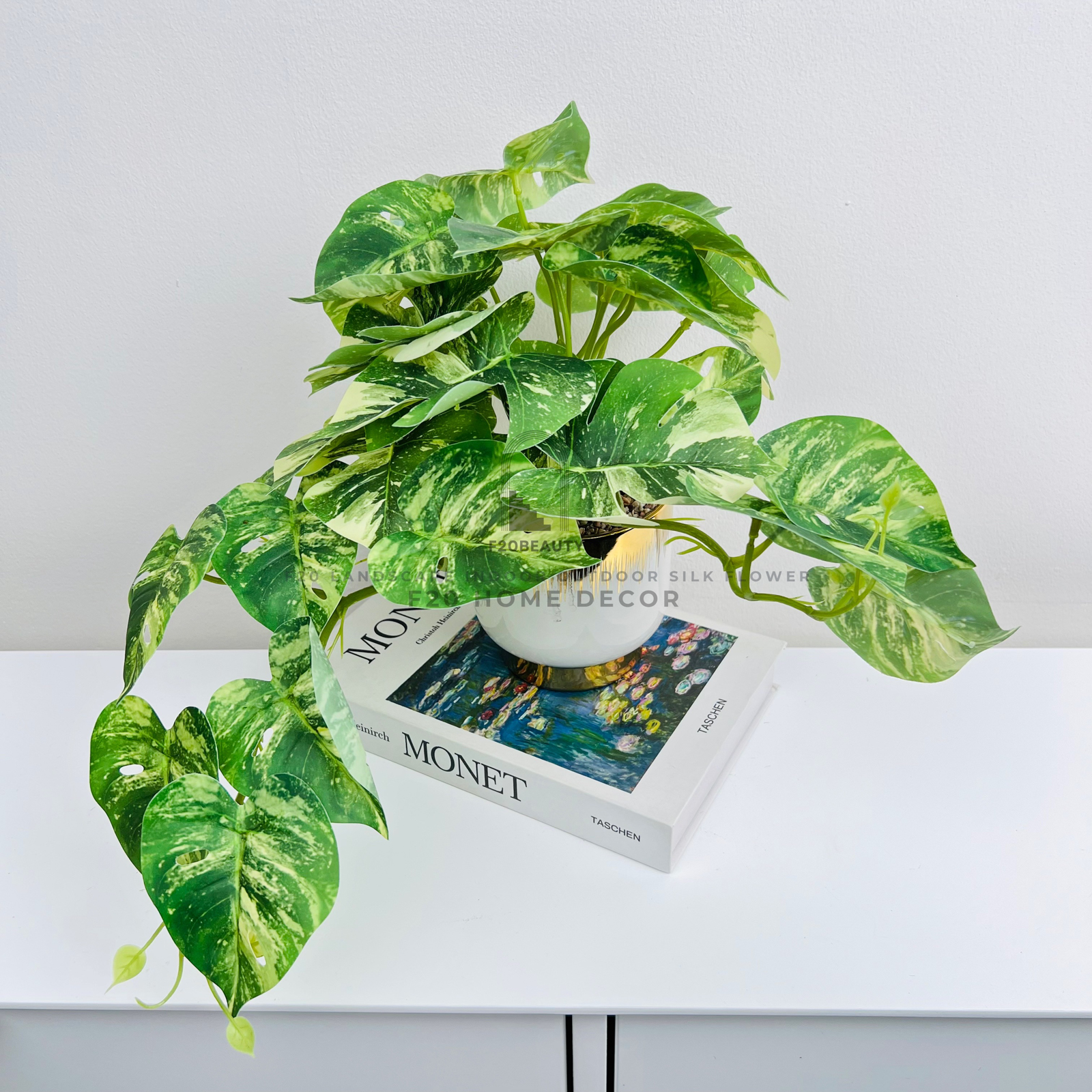 Chậu cây Monstera Nam Mỹ nhỏ giả để bàn phòng khách