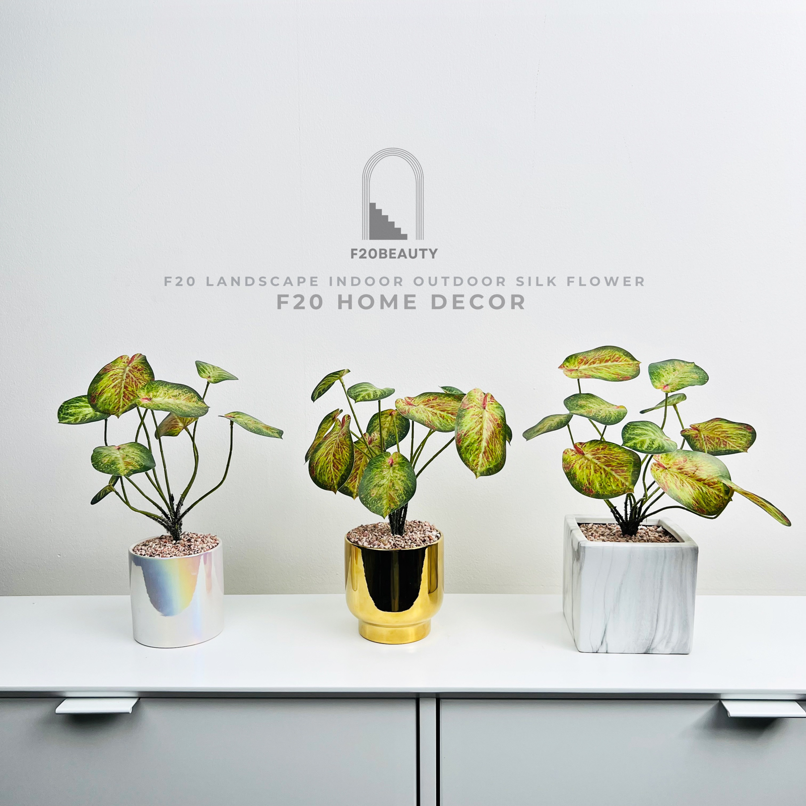 Chậu cây Thiên Thần giả để bàn