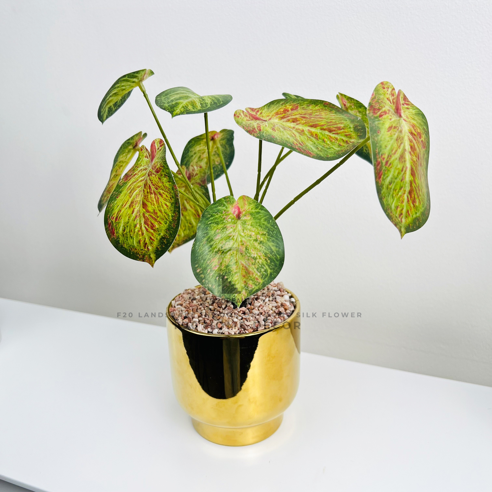 Chậu cây Thiên Thần giả để bàn kèm chậu vàng golden mang lại sự sang trọng cho không gian sống