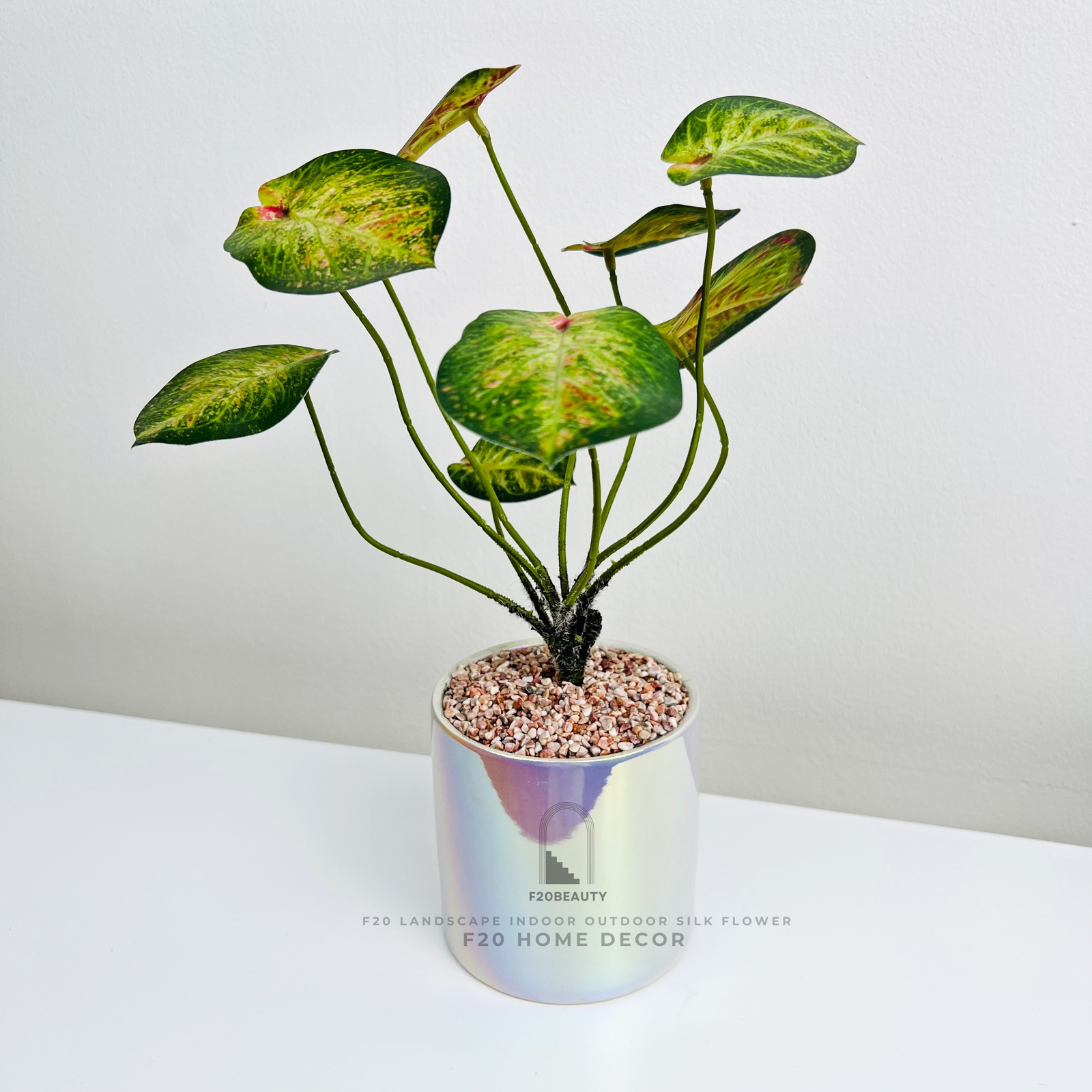 Chậu cây Thiên Thần giả để bàn kèm chậu xà cừ tạo không gian ấm áp và mềm mại cho bàn ăn