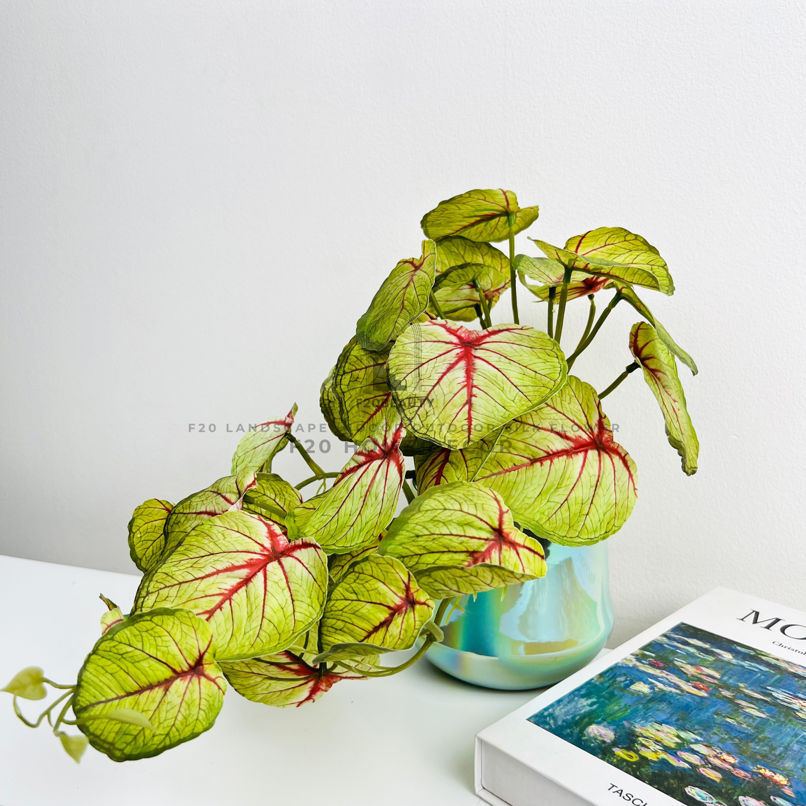 Chậu cây môn Angel Wind lá rủ giả đề bàn sang trọng cho phòng ngủ