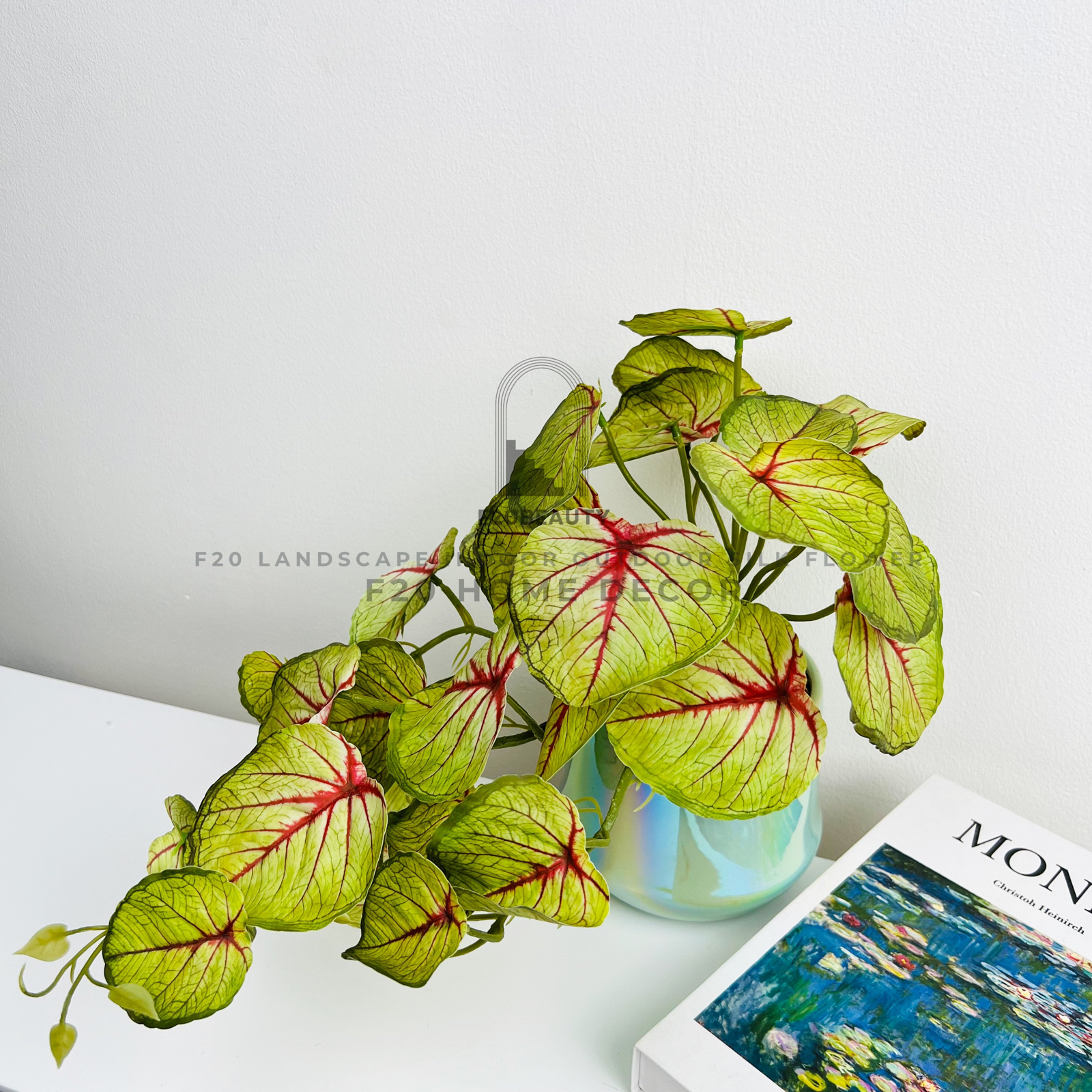 Chậu cây môn Angel Wind lá rủ giả đề bàn làm mới không gian với mảng xanh mát