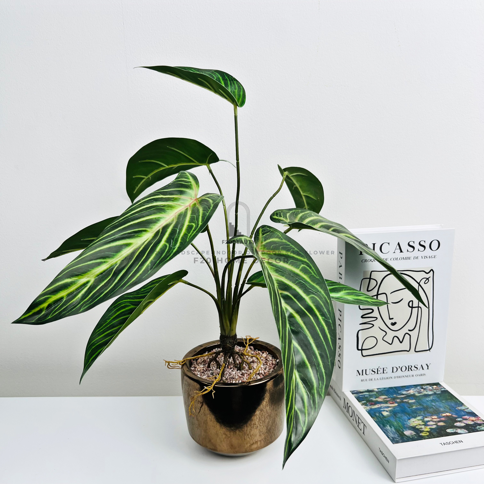 Chậu cây nấm tuyết thiền thần giả để bàn