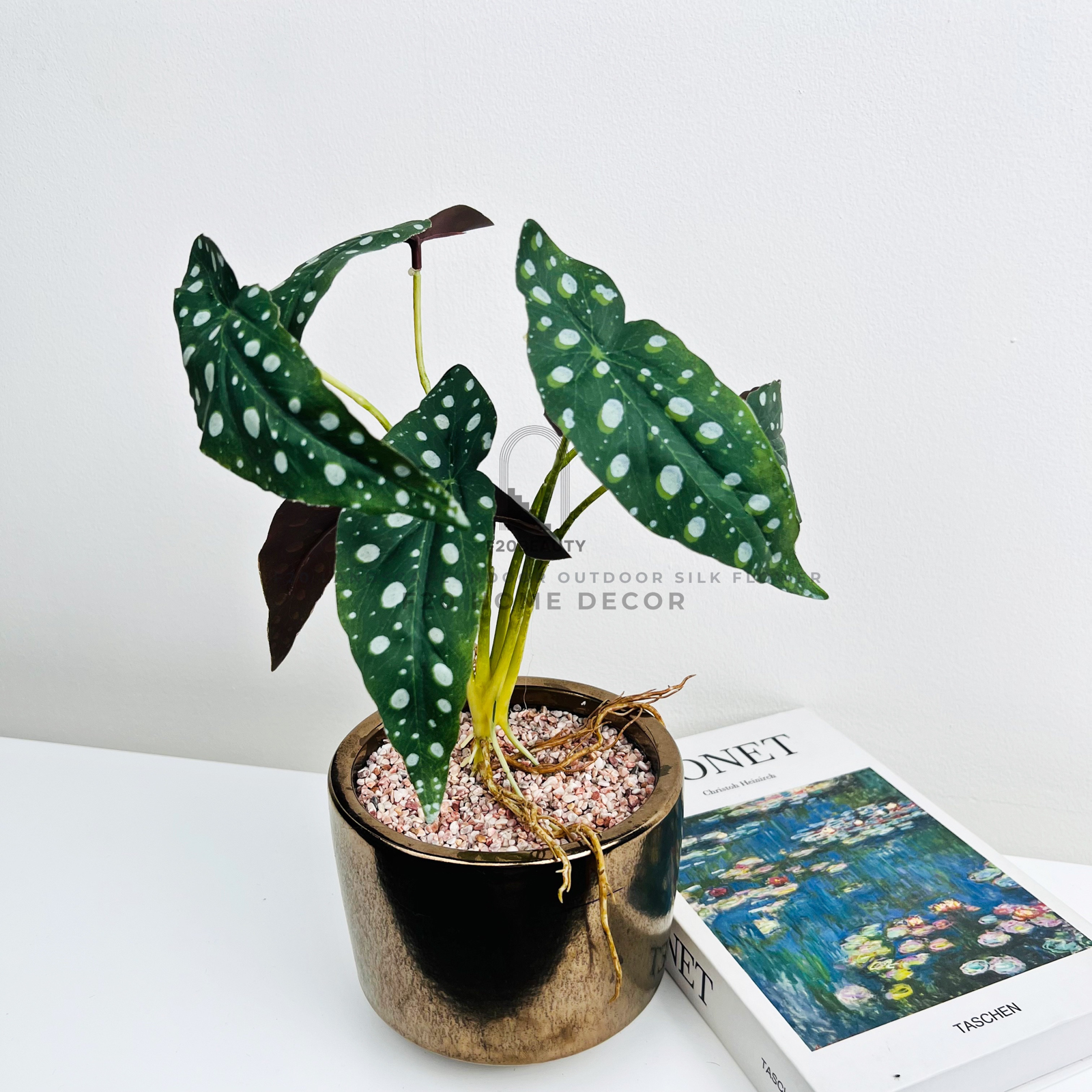 Chậu cây Polka dot Begoni giả để bàn