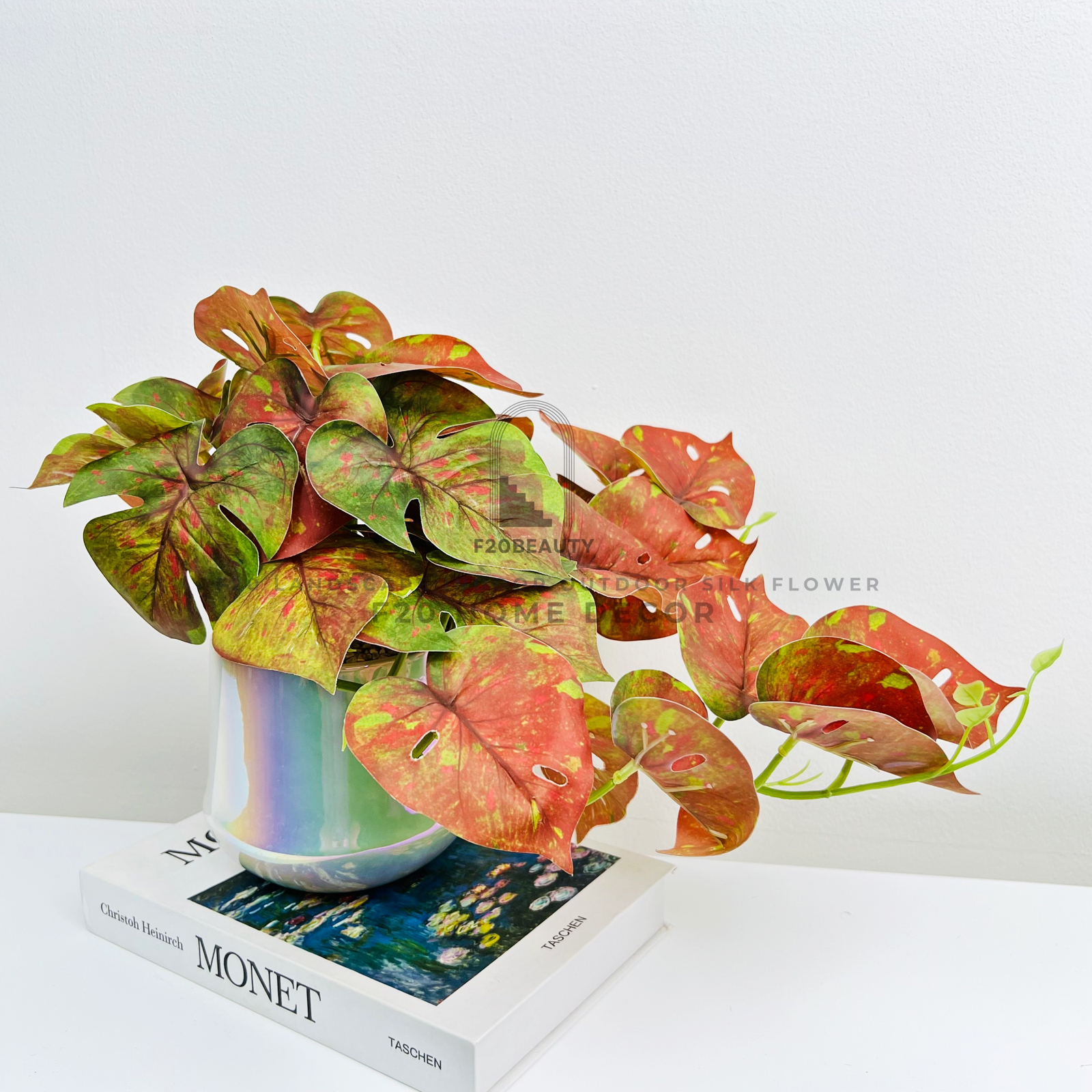 Chậu cây phong lá đỏ giả đề bàn