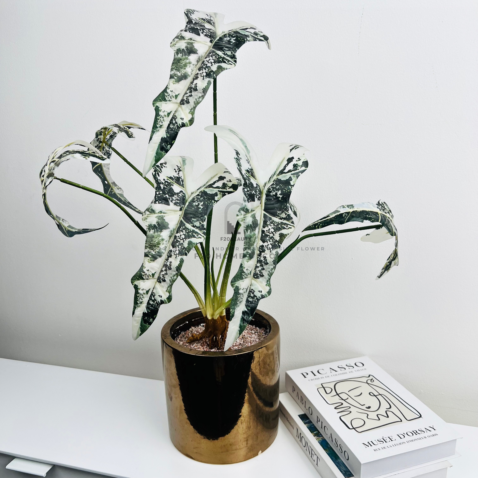 Chậu cây trầu bà quan âm giả để bàn tạo sự mát mẻ trong không gian sống