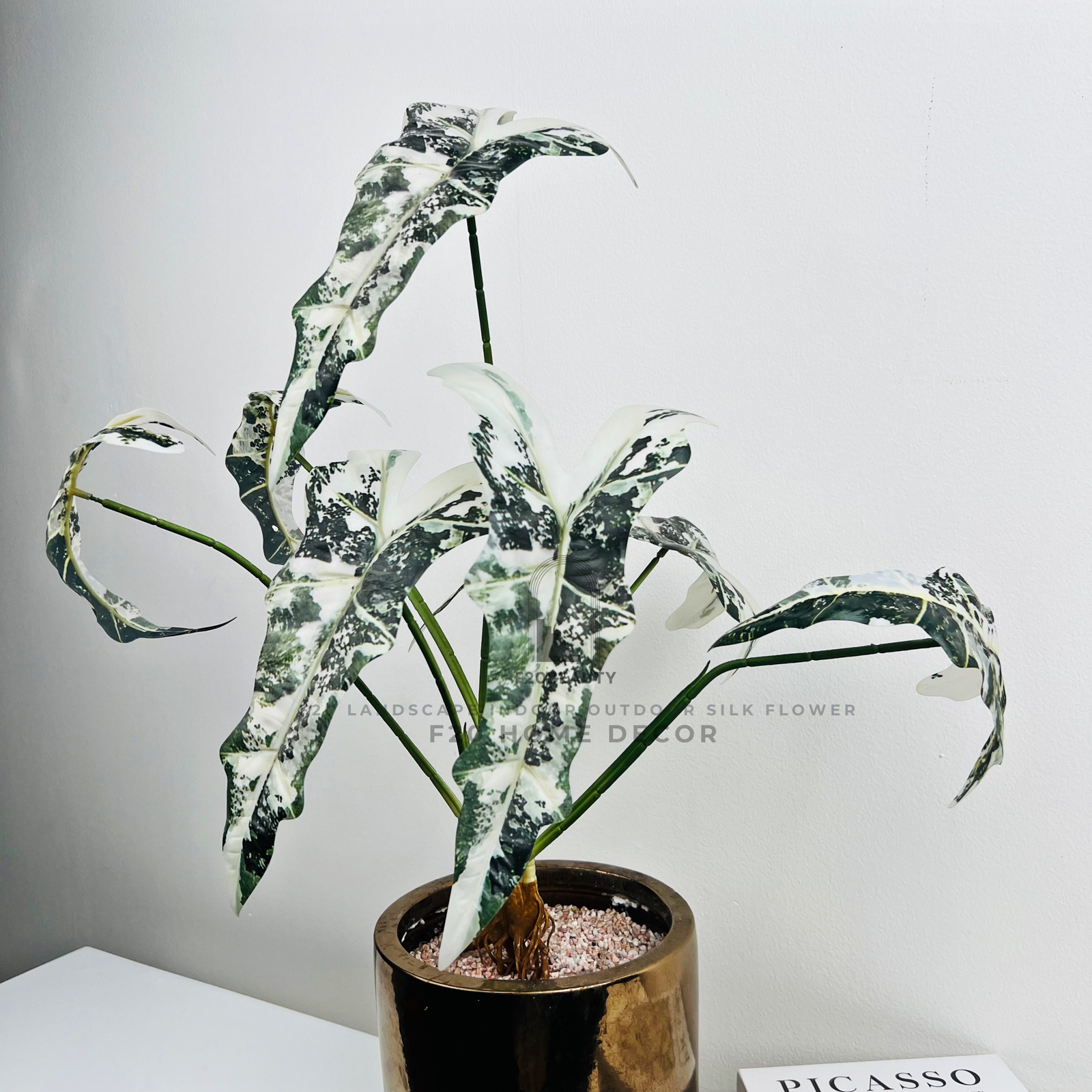 Chậu cây trầu bà quan âm giả để bàn mang thiên nhiên gần gũi hơn trong góc làm việc