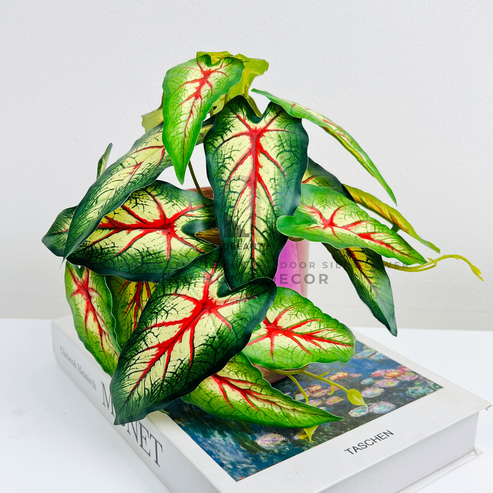 Chậu cây trầu bà tam sắc giả để bàn mang lại sự tươi mới cho góc làm việc