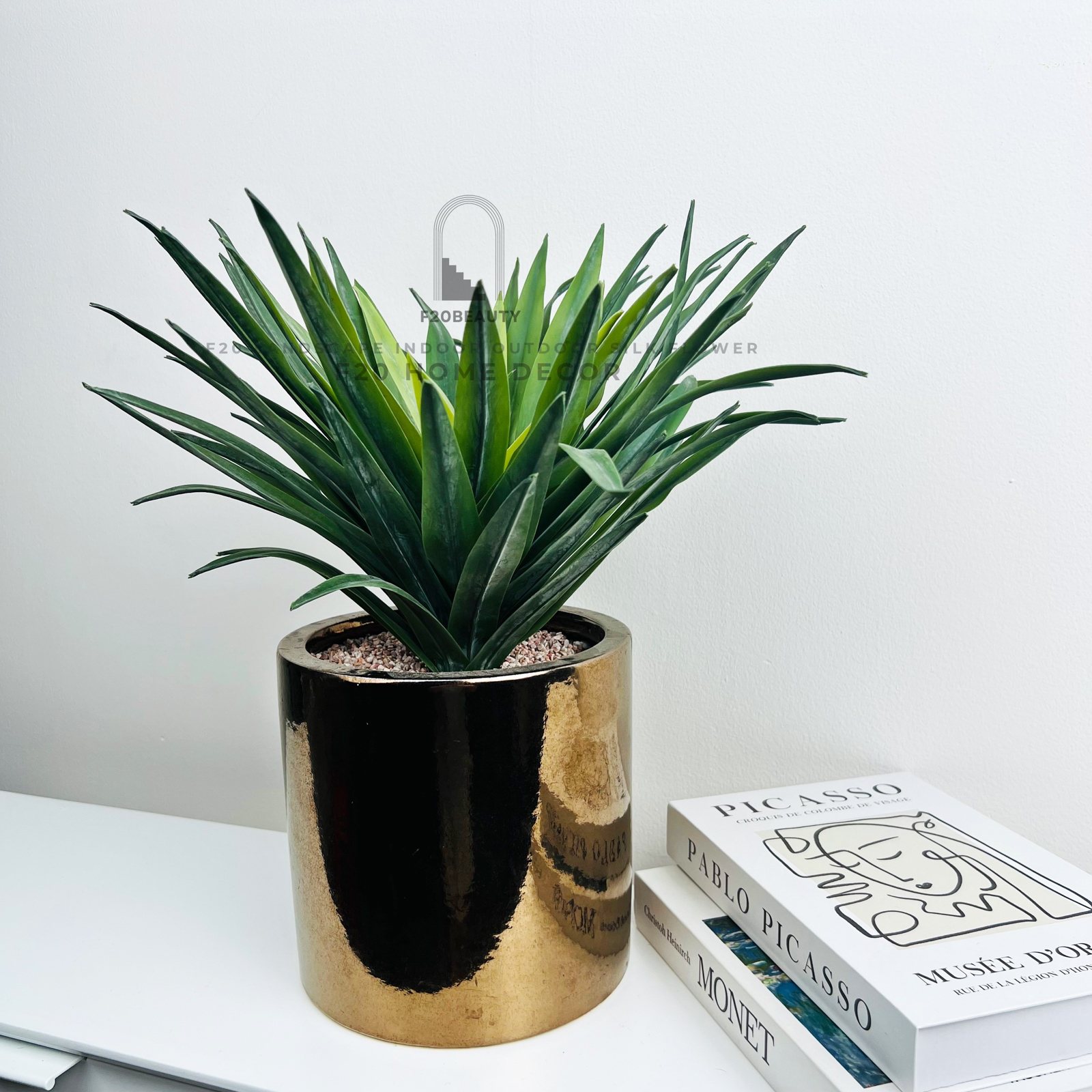 Chậu cây huyết rồng giả để bàn tạo sự phong phú trong không gian sống