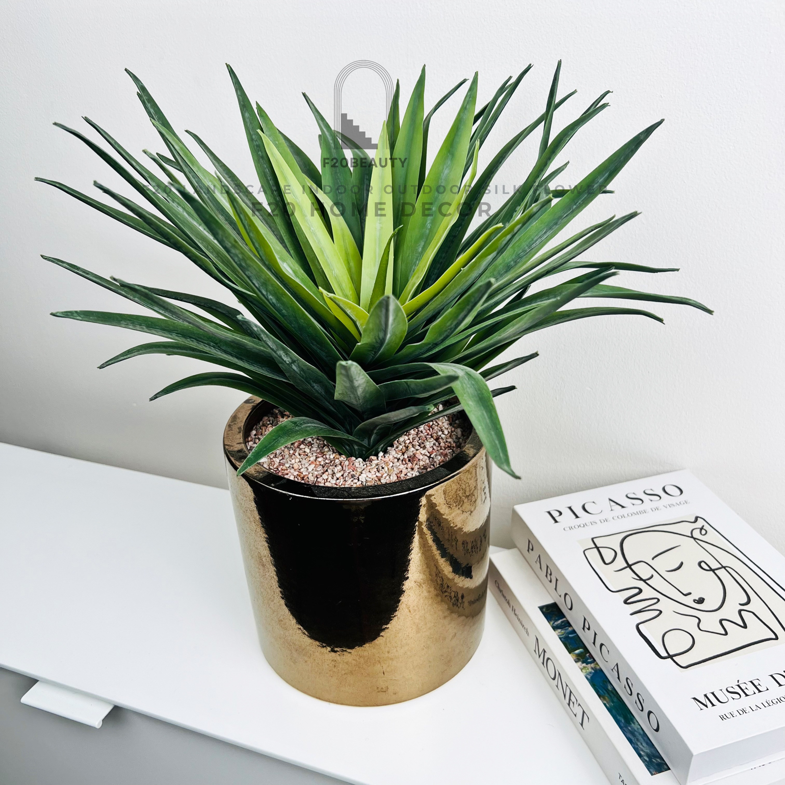 Chậu cây huyết rồng giả để bàn vẻ đẹp đặc biệt trong bàn ăn