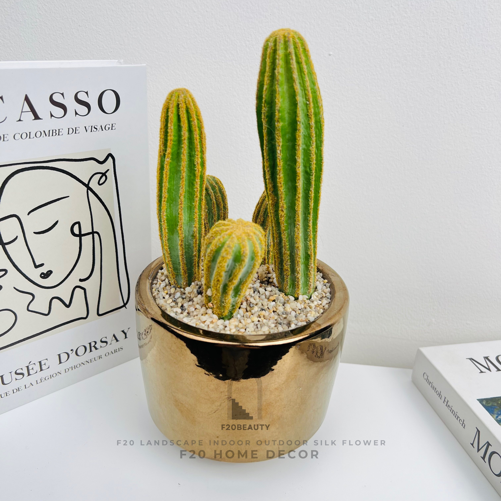 Chậu cây xương rồng giả để bàn độc đáo khi trang trí trong ngôi nhà của bạn