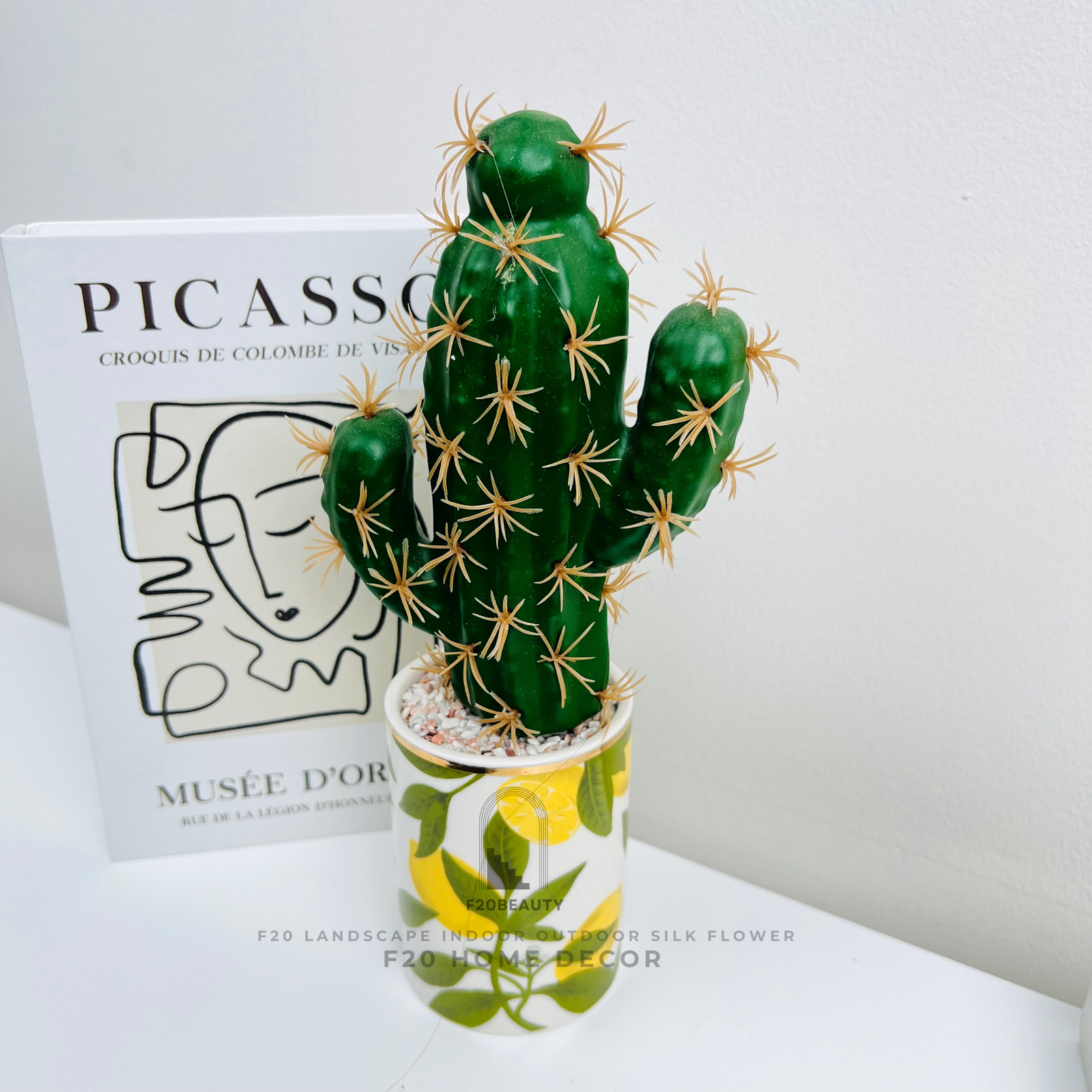 Chậu cây xương rồng hai tay giả để bàn