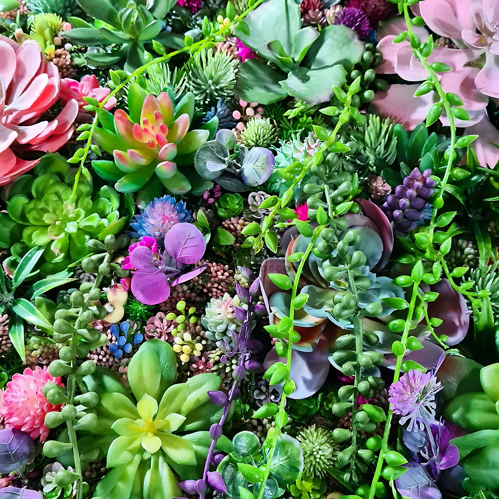 Hình ảnh chi tiết tườngng cây giả sen đá mix các loại