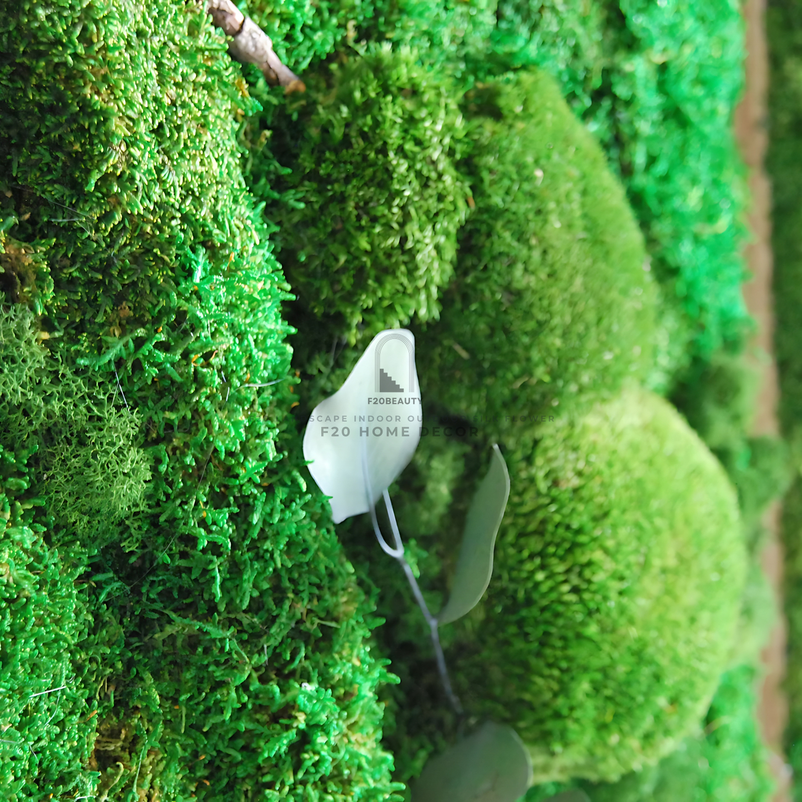 Làm đẹp ngôi nhà với tường rêu giả kết hợp cây trang trí