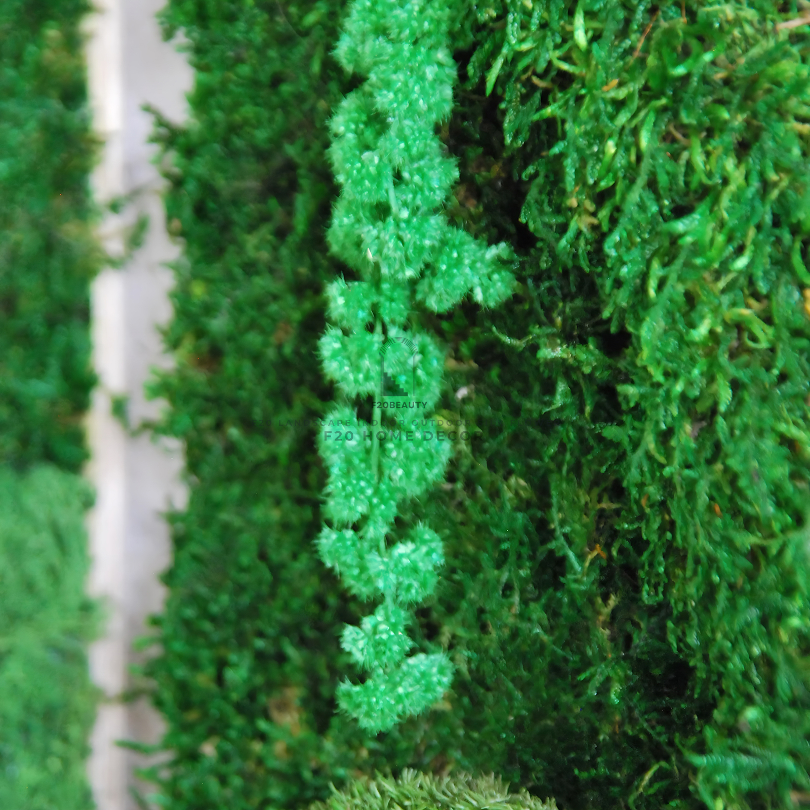 Tường rêu giả kết hợp cây trang trí phong cách trang trí hiện đại