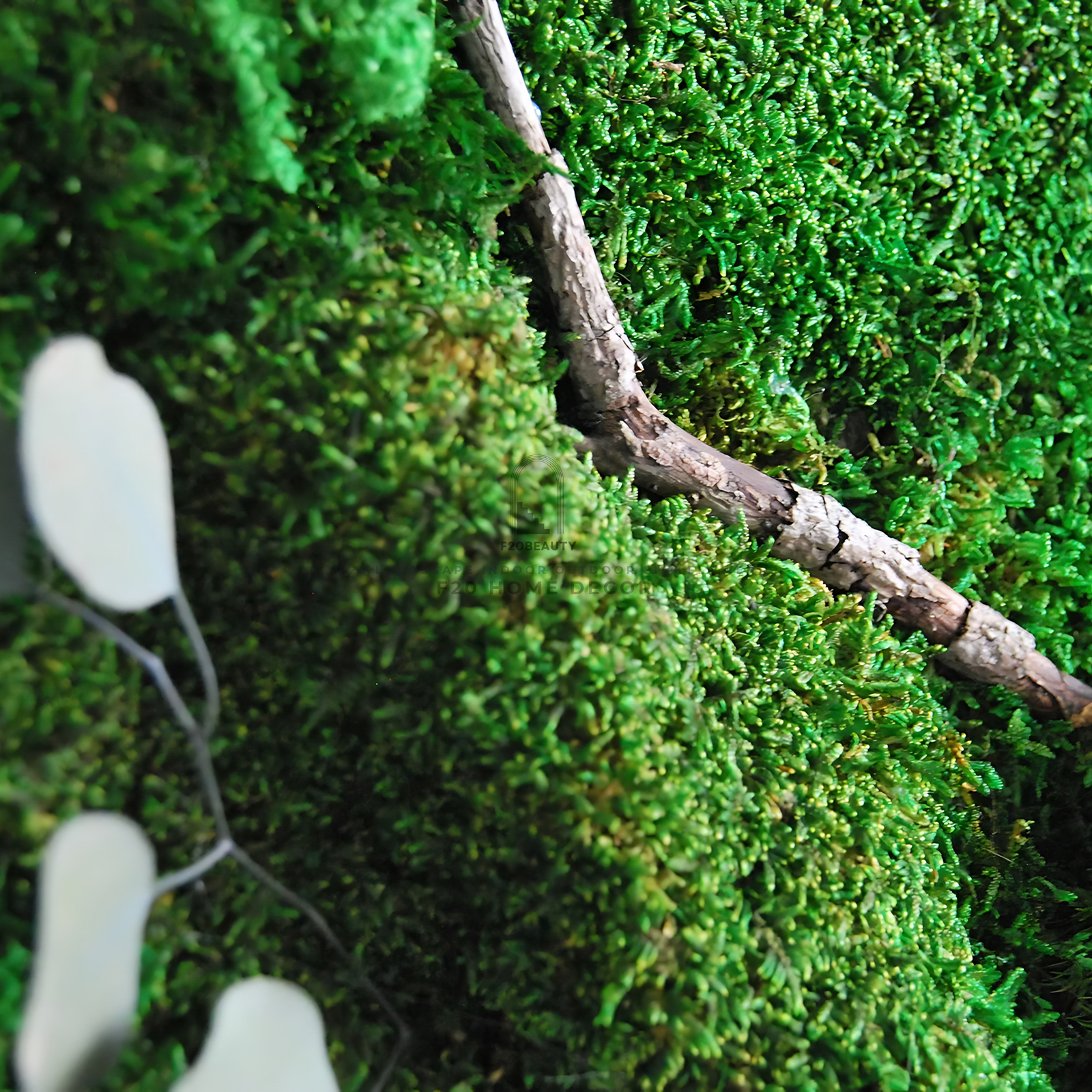 Tường rêu giả kết hợp cây trang trí ý tưởng độc đáo cho không gian sống