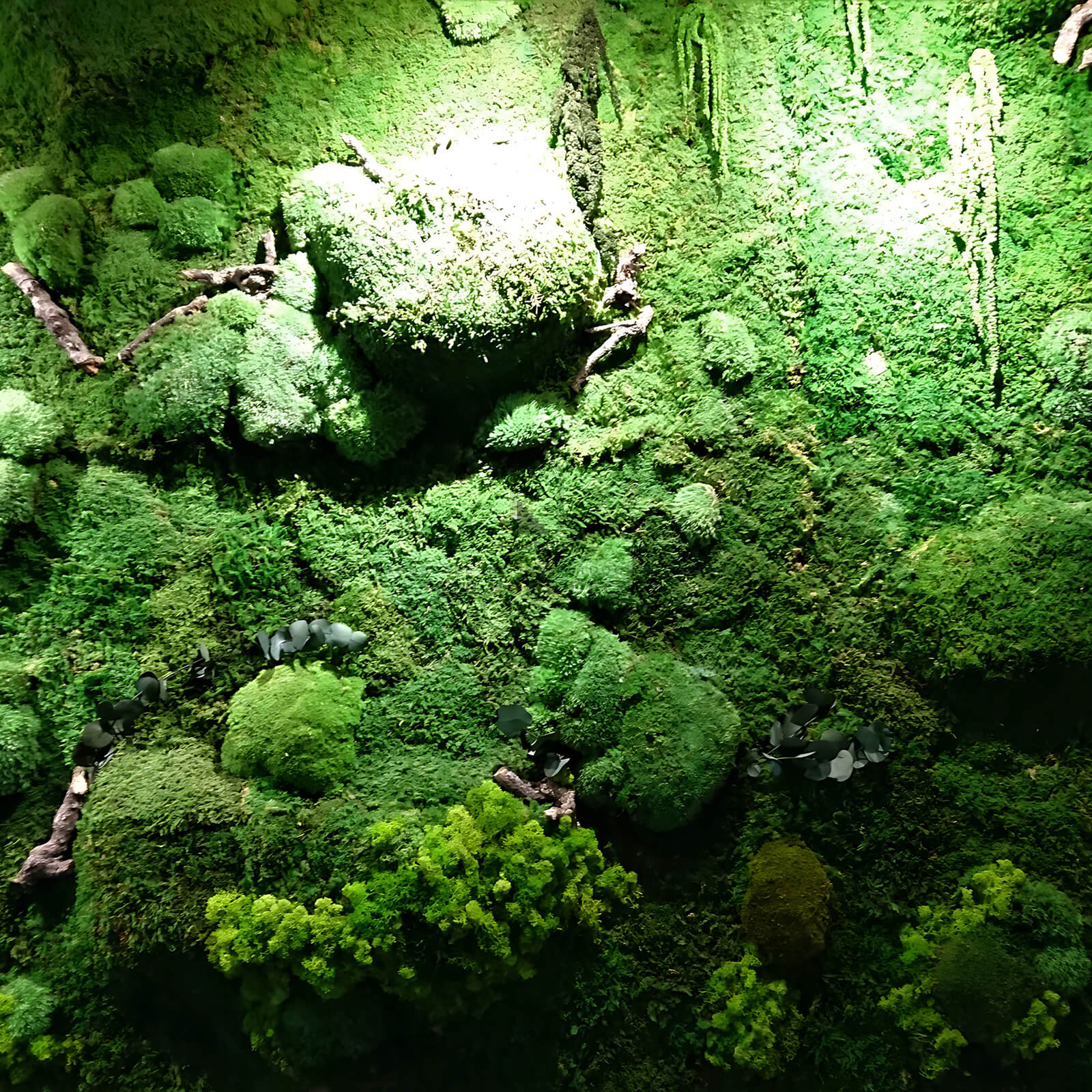 Tường rêu giả kết hợp cây trang trí