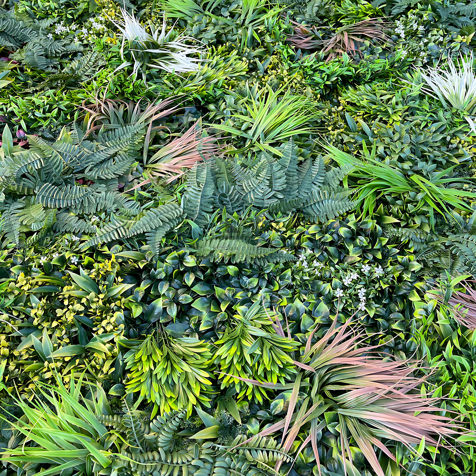 Tường cây giả phong cách nhiệt đới sang trọng trang trí vách tường tạo điểm nhấn độc đáo