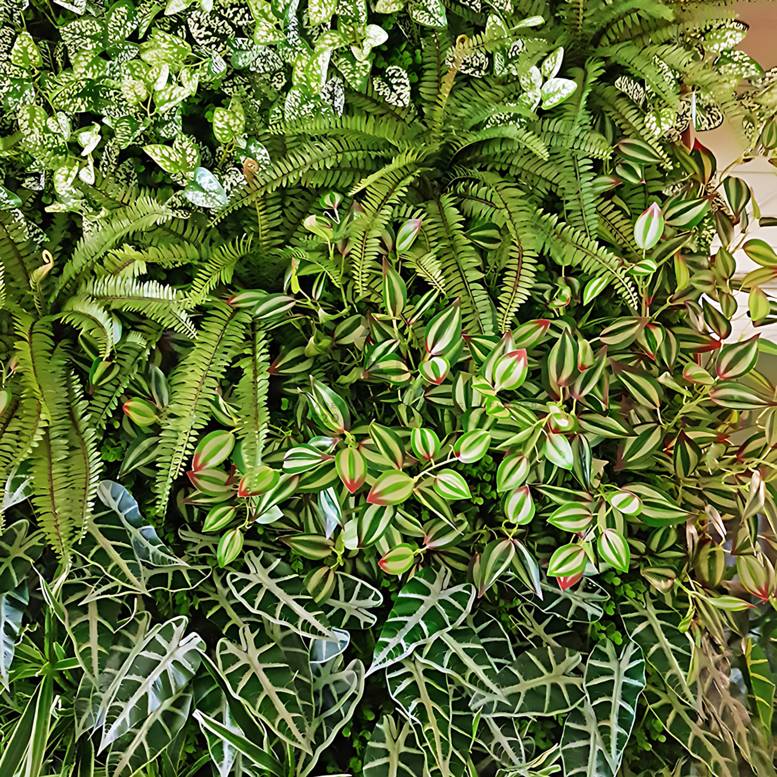 Hình ảnh chi tiết thi công tường cây giả trang trí trường học