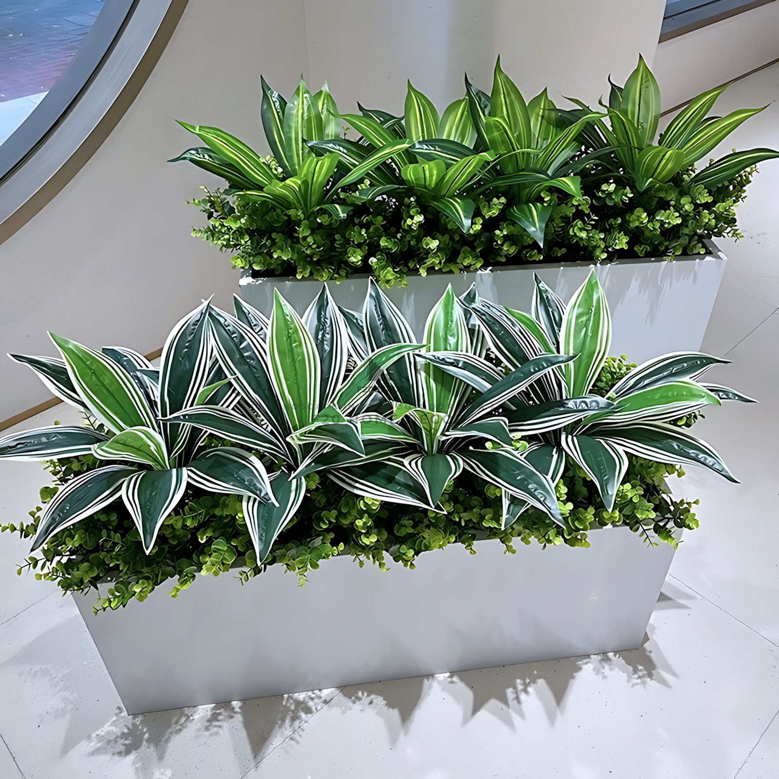 Bục cây lưỡi hổ giả trang trí văn phòng sinh động và tinh tế