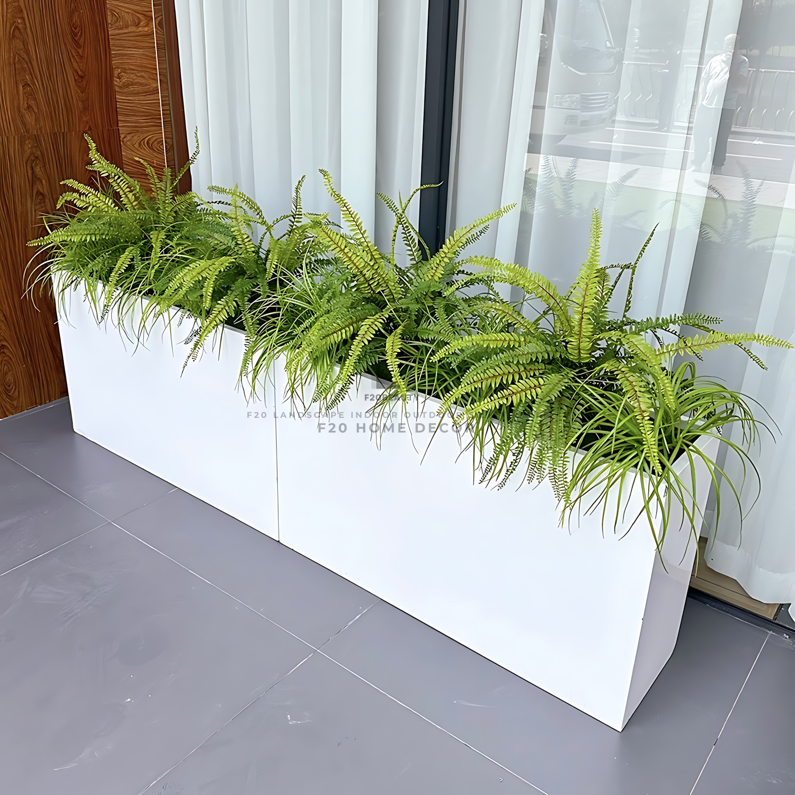 Hộp cây dương xỉ trang trí quán cafe văn phòng sự kết hợp tinh tế giữa phong cách và tự nhiên