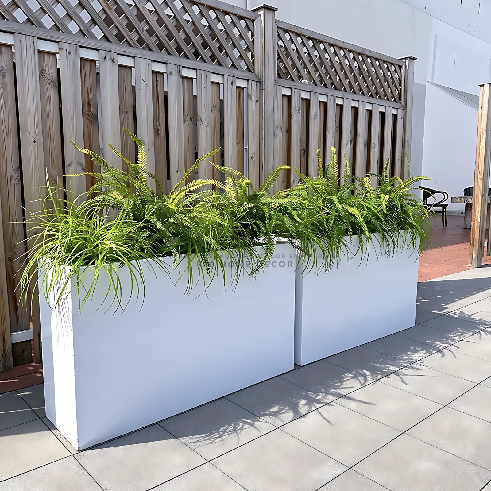 Hộp cây dương xỉ trang trí quán cafe, văn phòng tạo không gian sống động và tươi mát