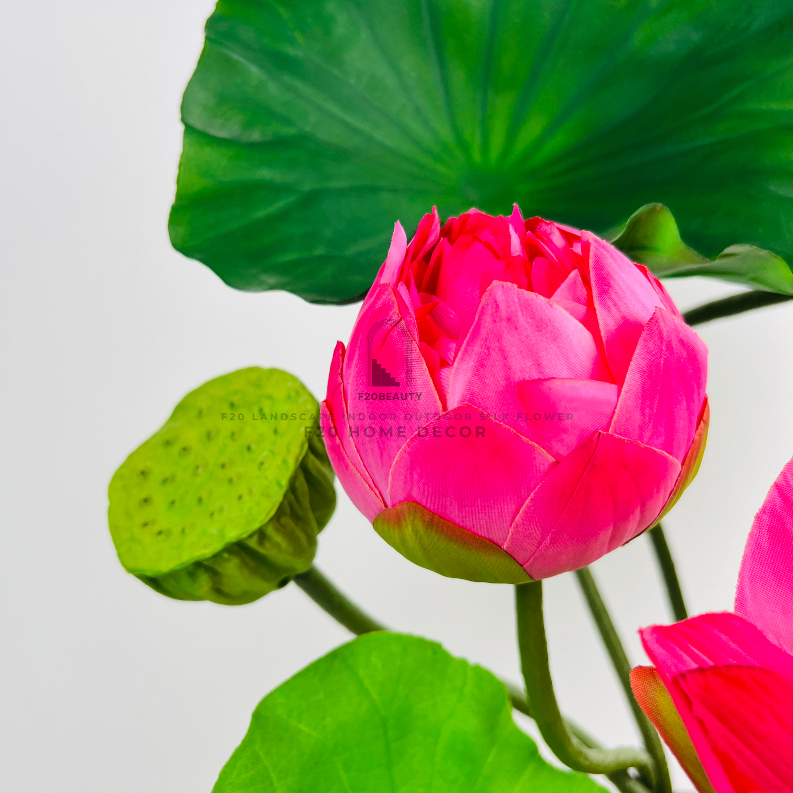 Hình ảnh nụ sen của bình hoa sen cắm sẵn để bàn đẹp