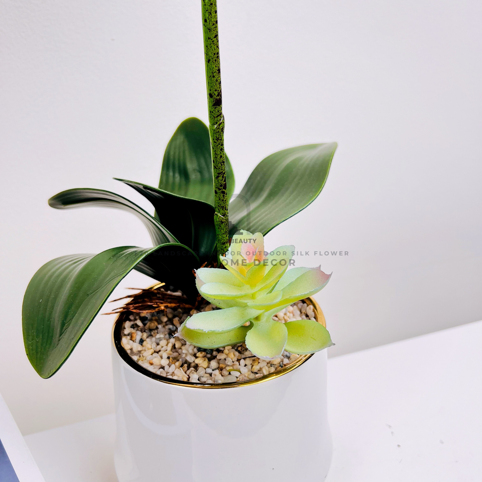 Hình ảnh chi tiết la lan của bình hoa lan hồ điệp trắng cắm sẵn để bàn