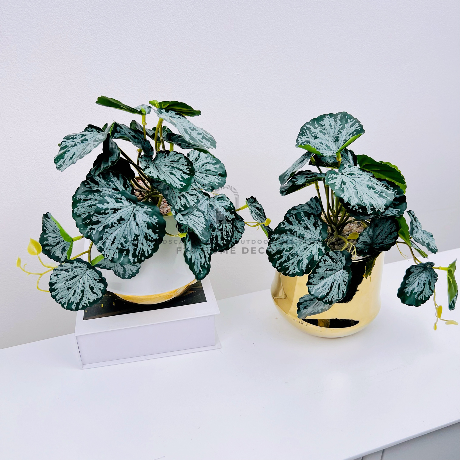 Chậu cây Philodendron lá tròn bạc giả để bàn trang trí phòng bếp