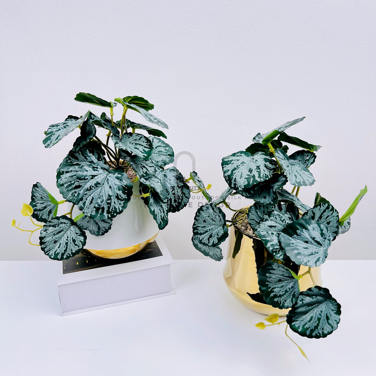 Chậu cây Philodendron lá tròn bạc giả để bàn