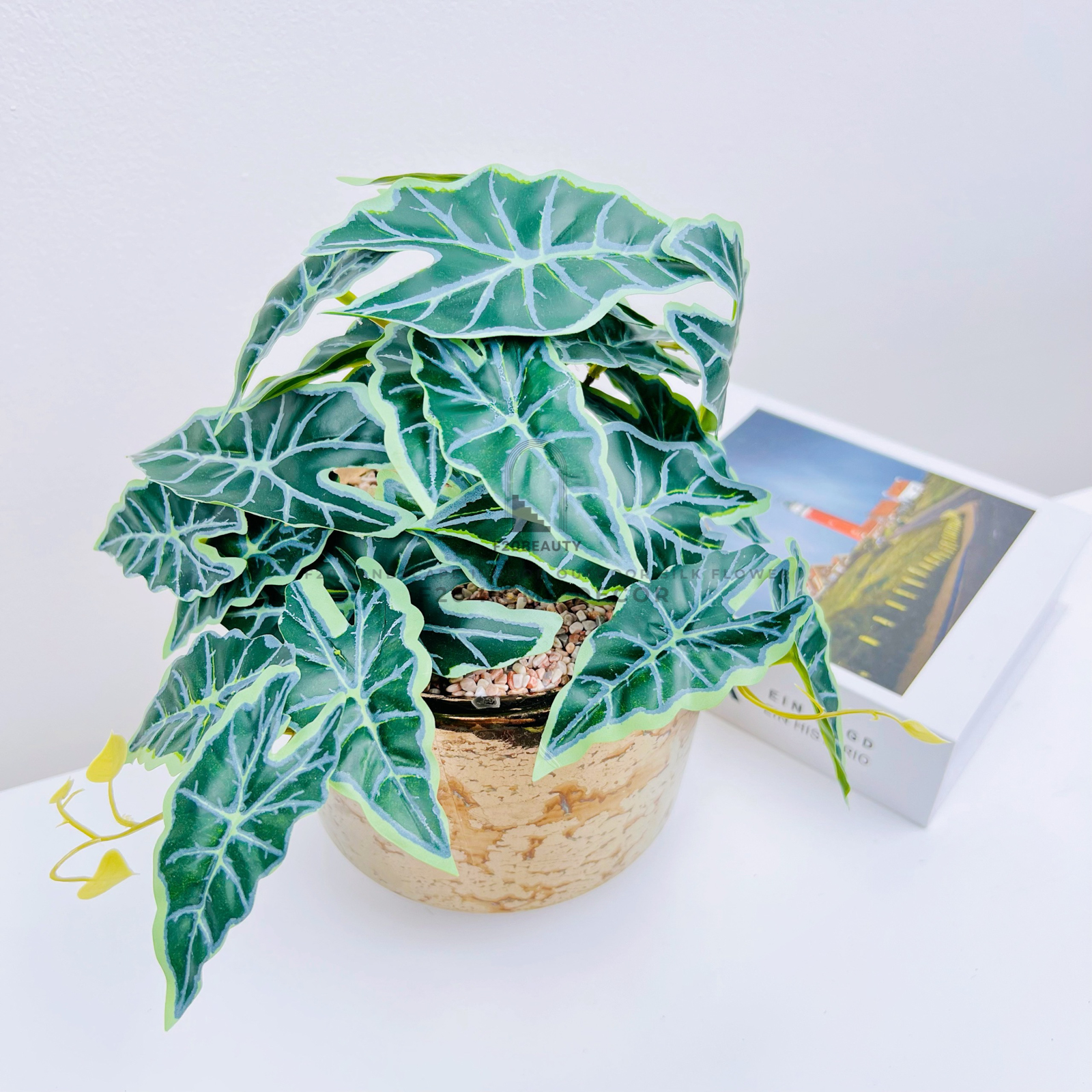 Chậu cây Philodendron White Knight mini giả để bàn trang trí phòng khách