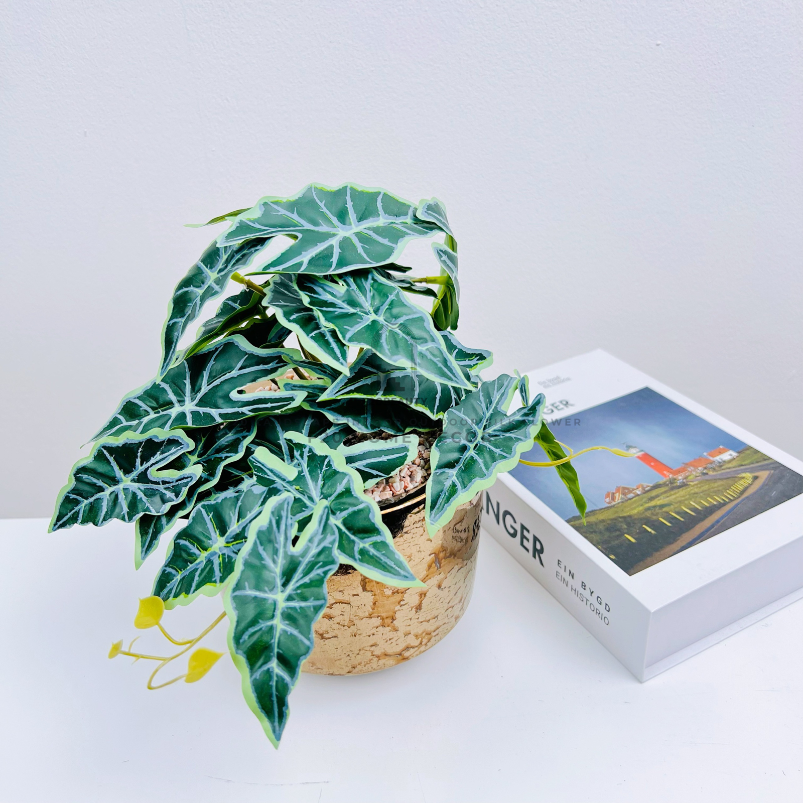 Chậu cây Philodendron White Knight mini giả để bàn trang trí phòng ngủ