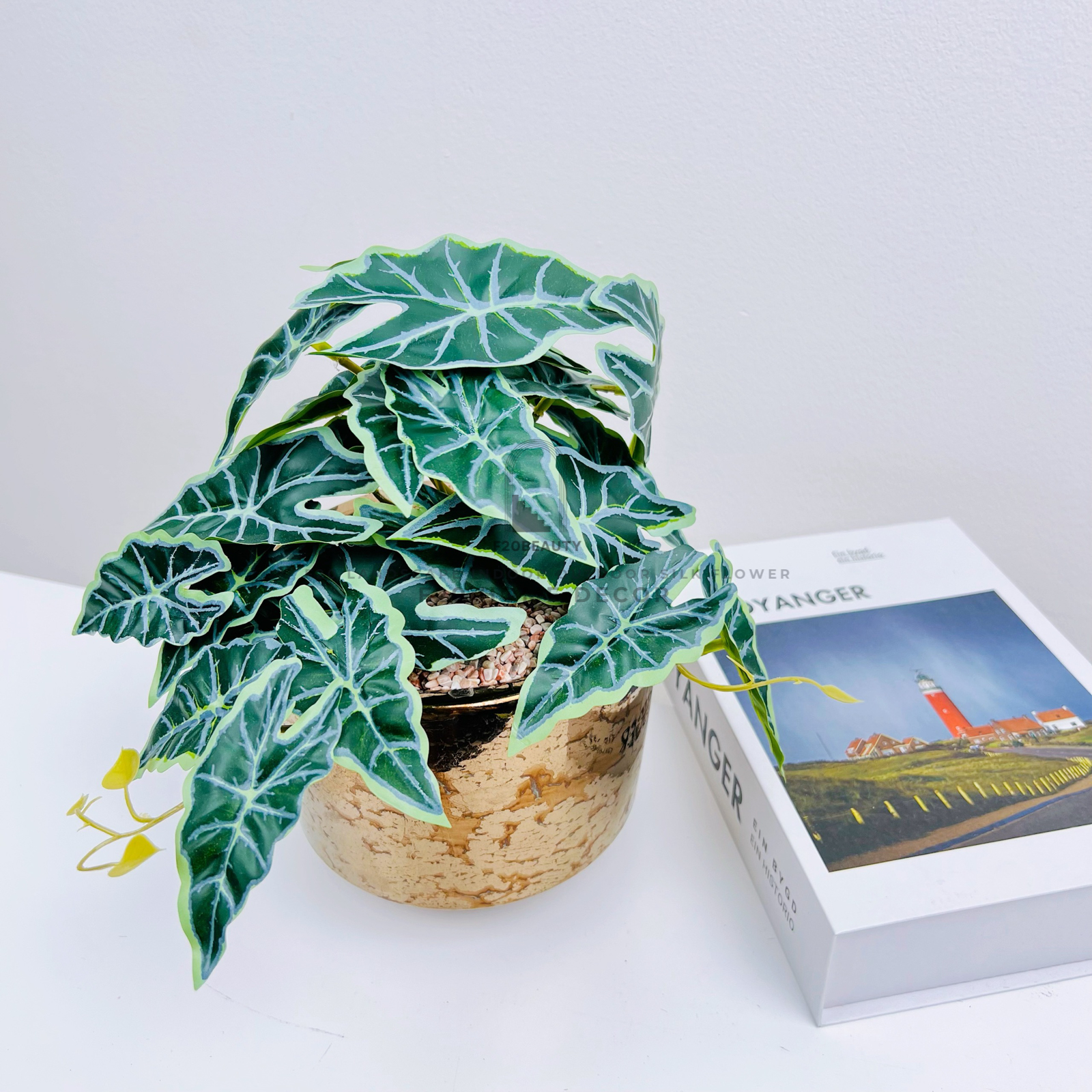 Chậu cây Philodendron White Knight mini giả để bàn trang trí bàn làm việc