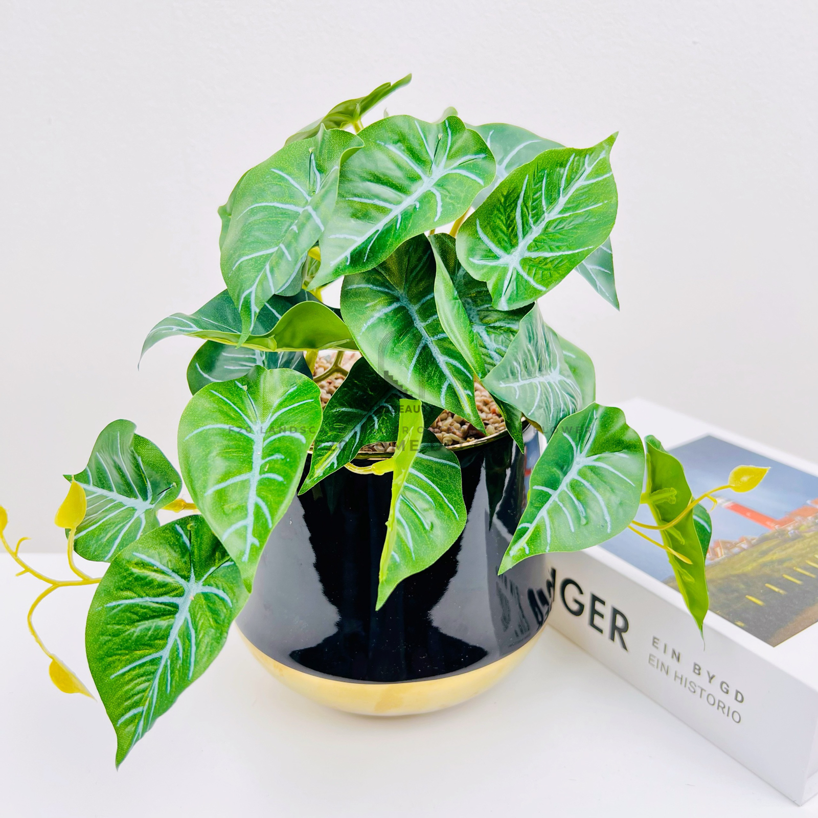 Chậu cây Philodendron White Wave giả