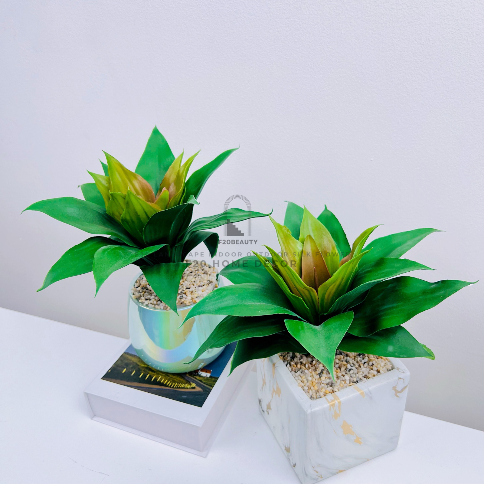 Chậu cây thùa giả để bàn